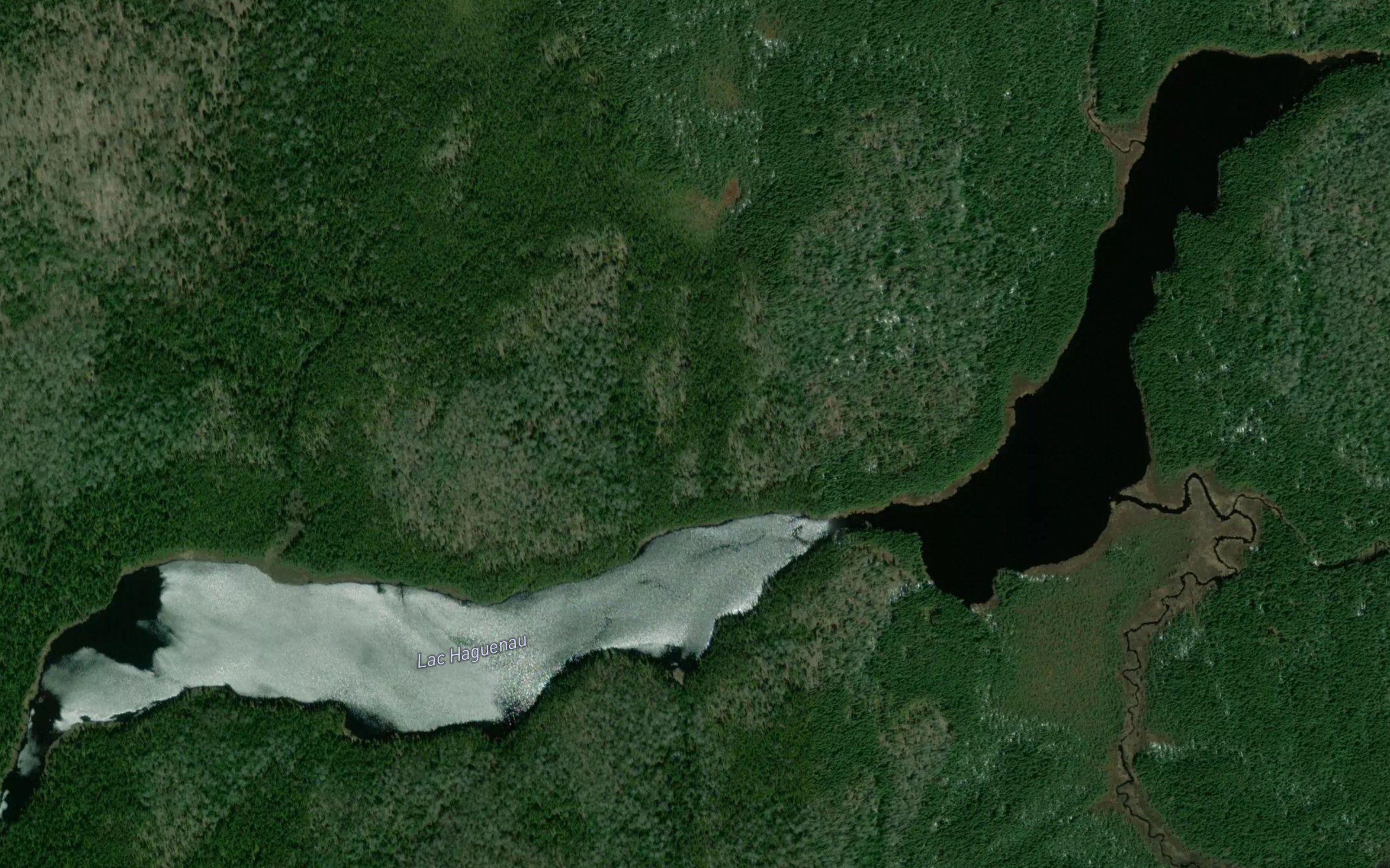 Lac Haguenau