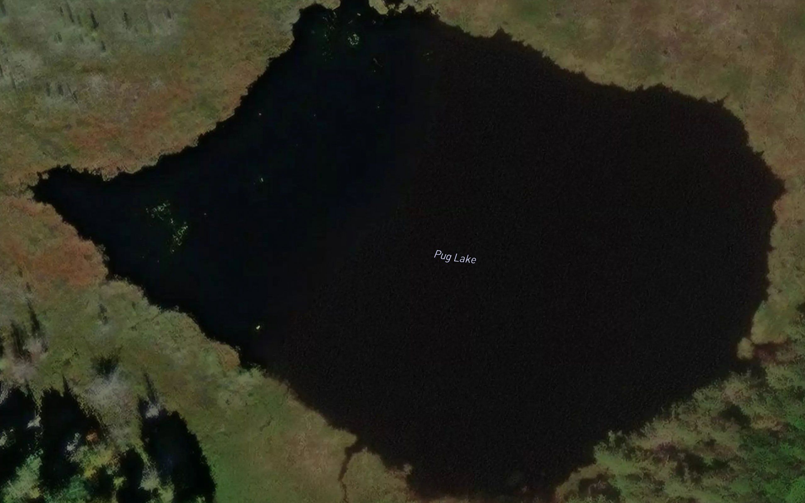Pug Lake