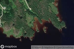 Levealahti