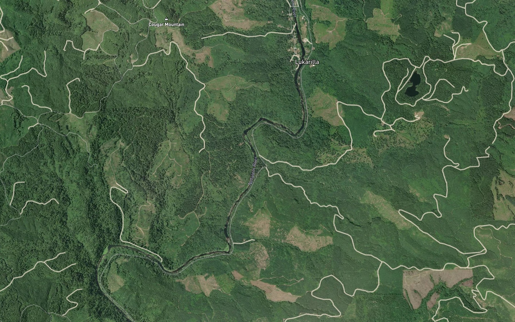 Satellite map of the Spruce Run Creek
