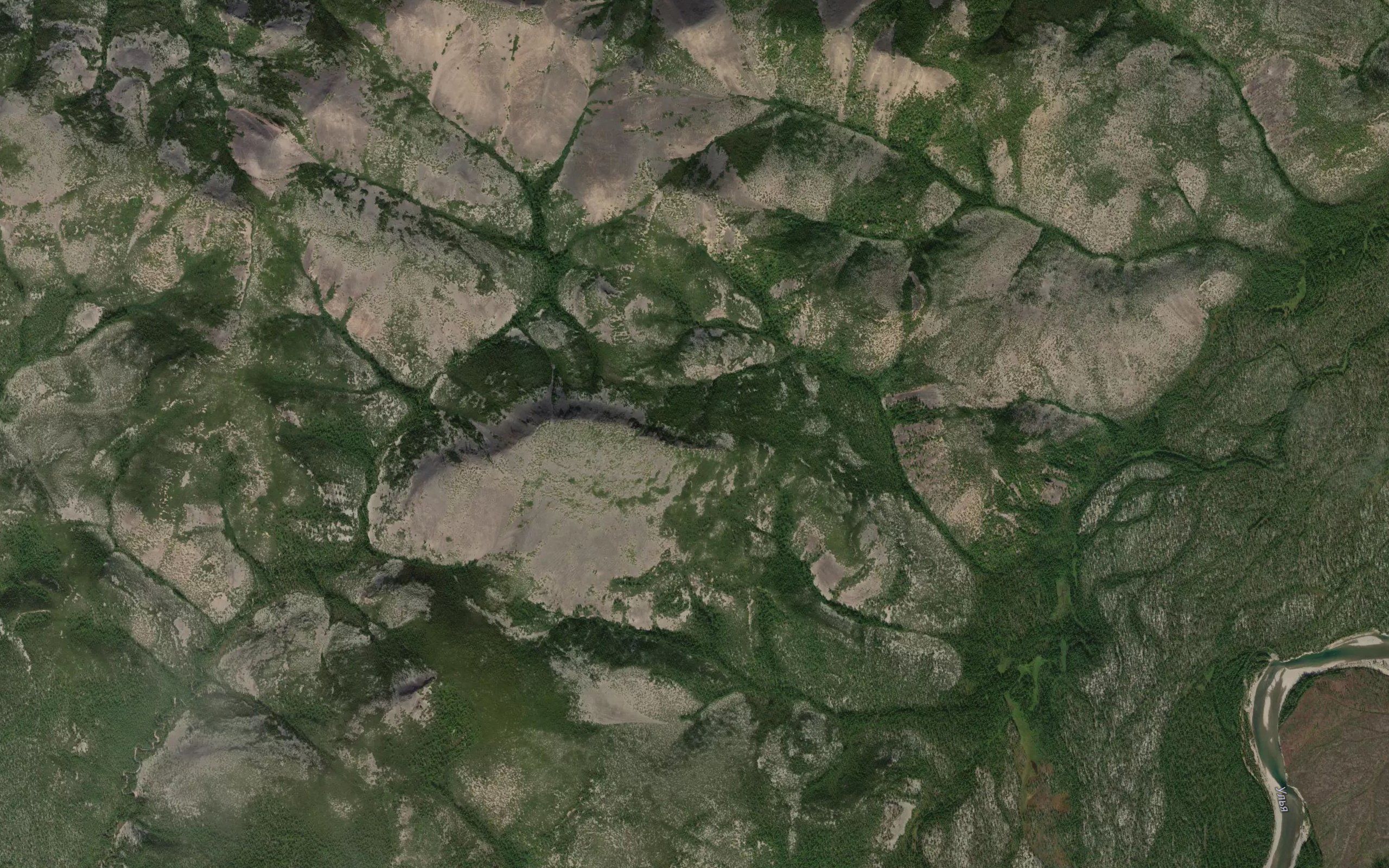 Ogdzya