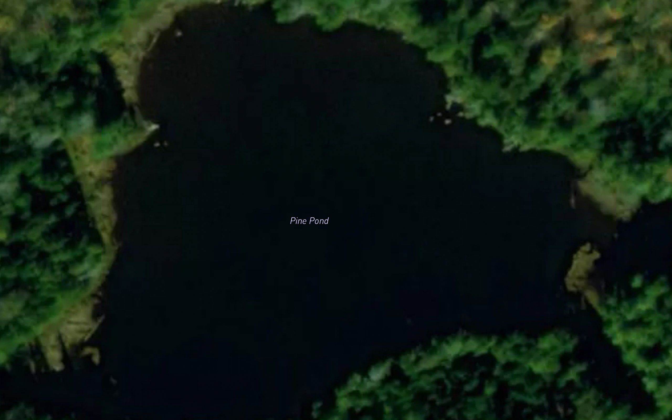 Pine Pond
