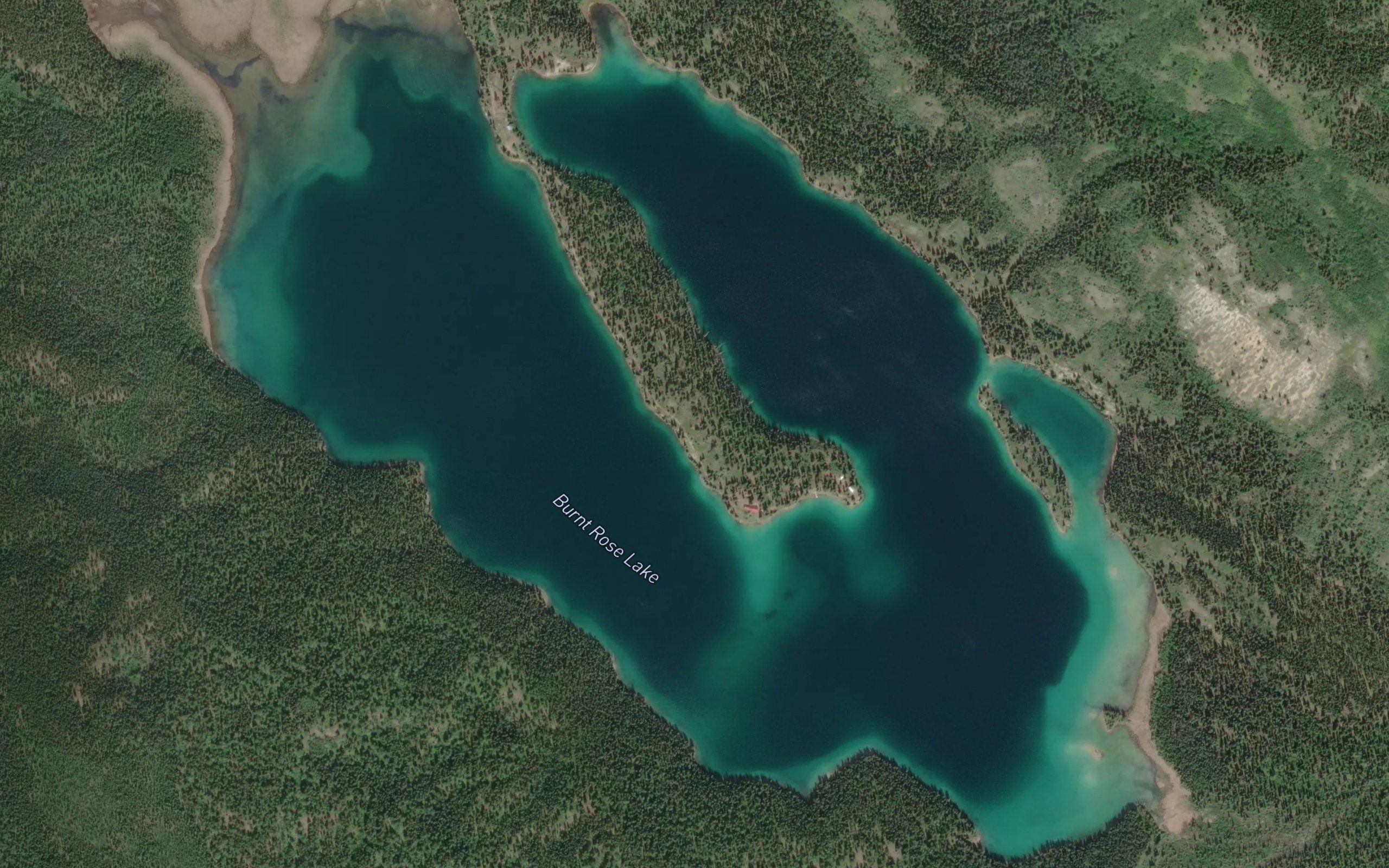 Burnt Rose Lake