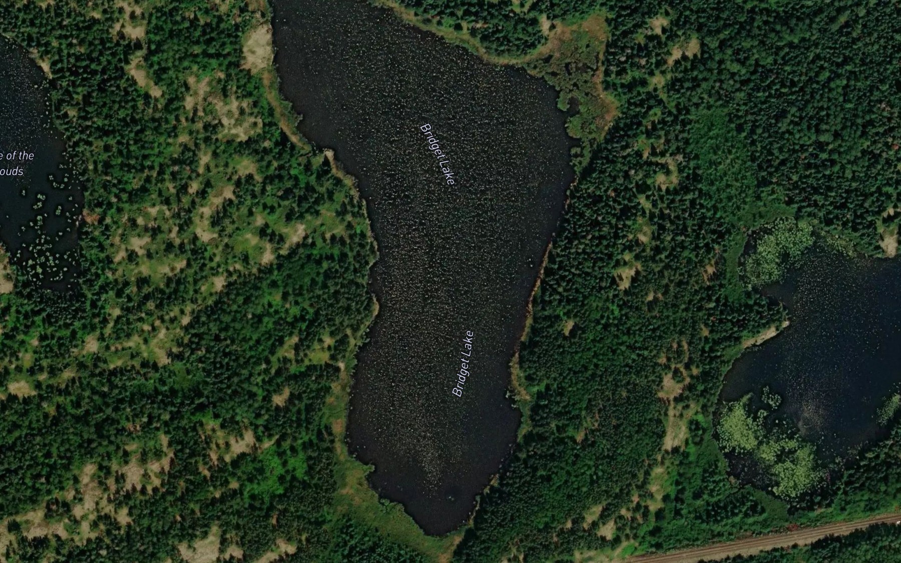 Satellite map of the Bridget Lake