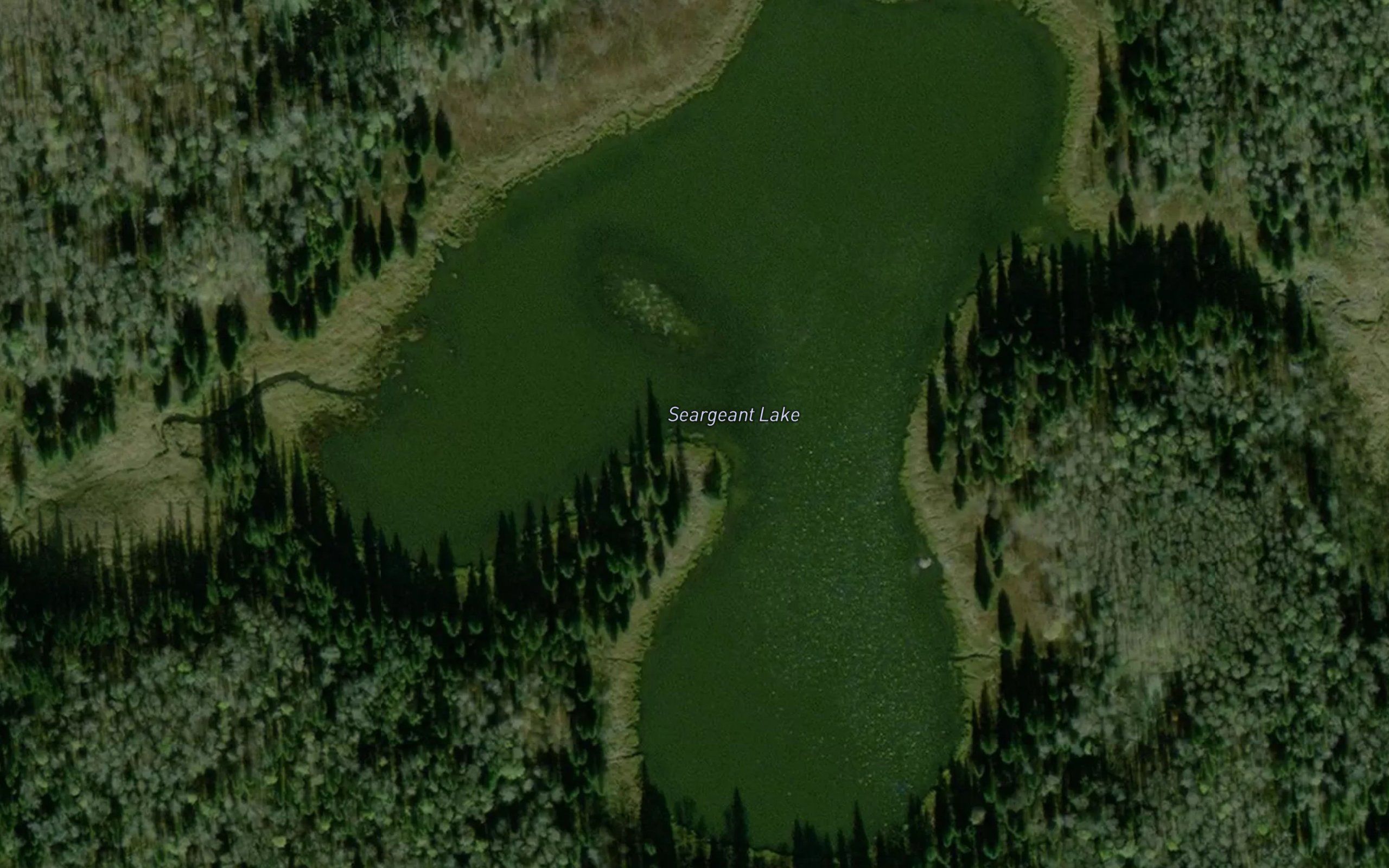 Seargeant Lake