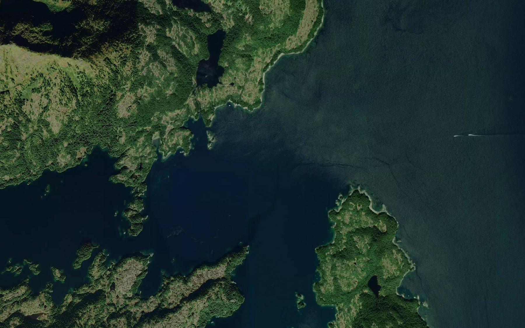 Satellite map of the Eshamy Bay