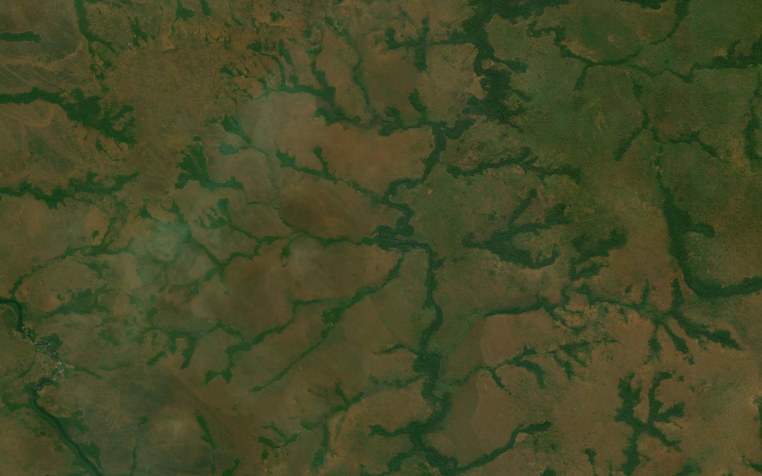 Pamba