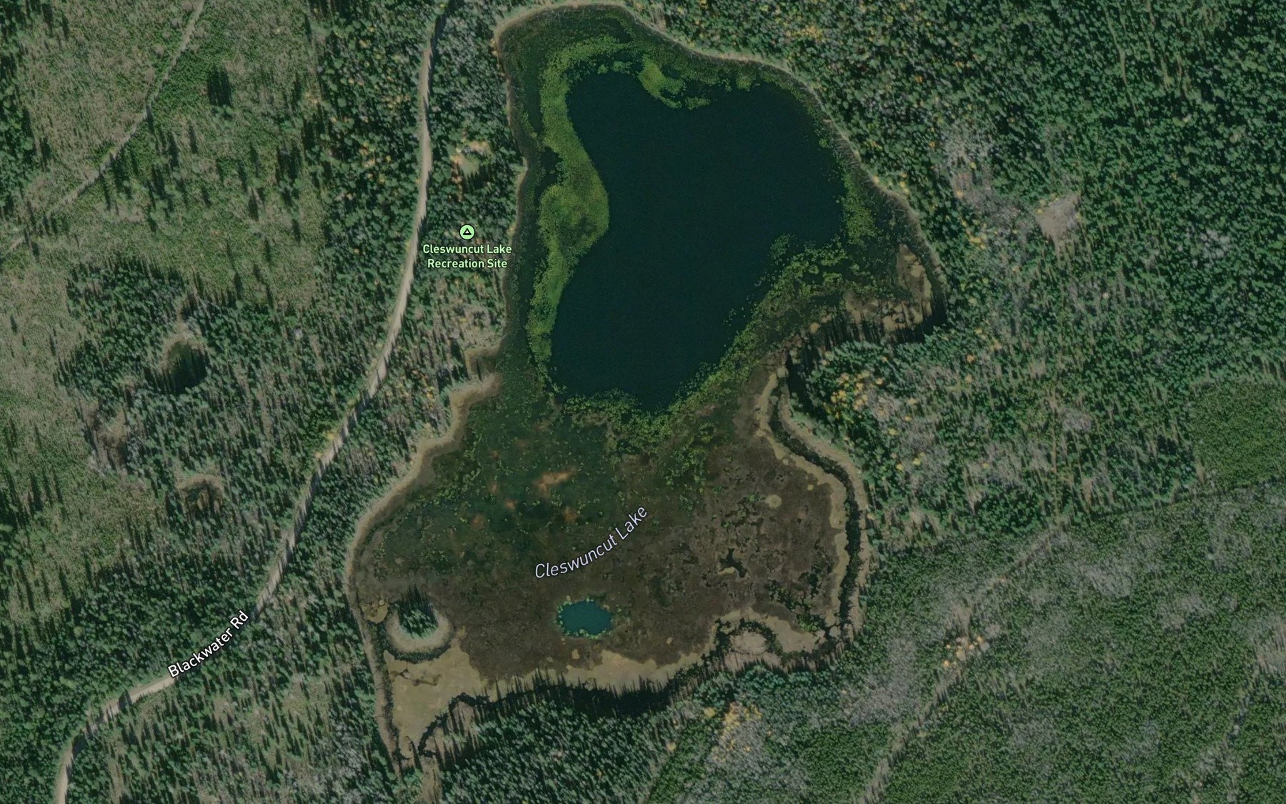 Satellite map of the Cleswuncut Lake