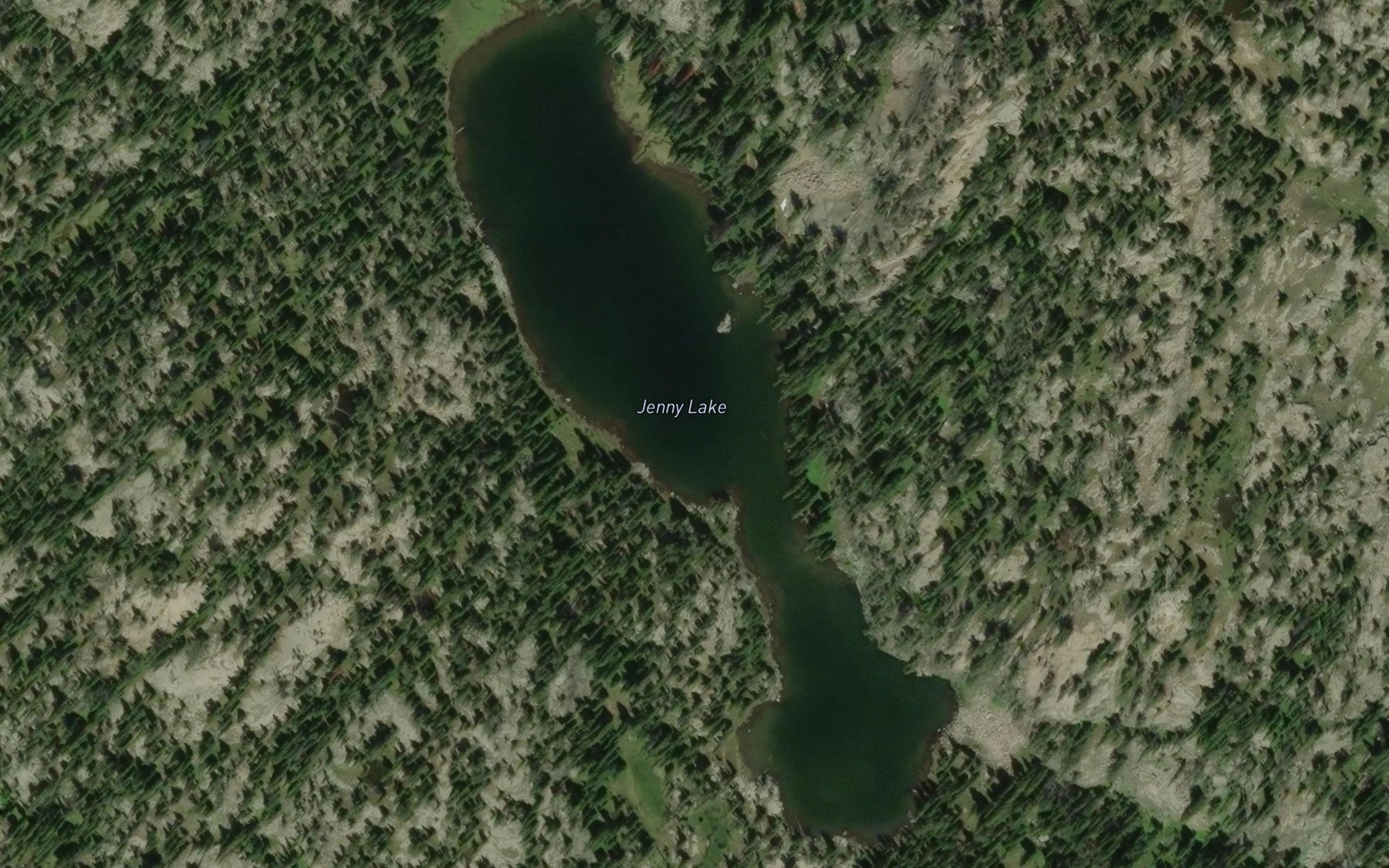 Satellite map of the Jenny Lake