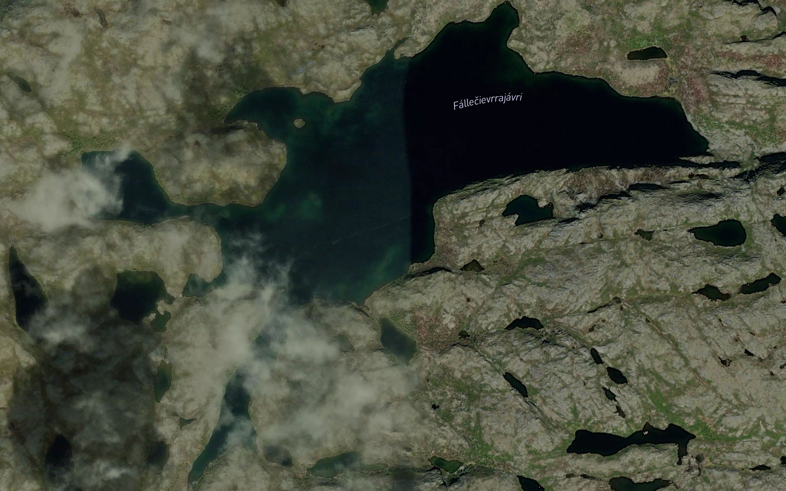 Hauktjern