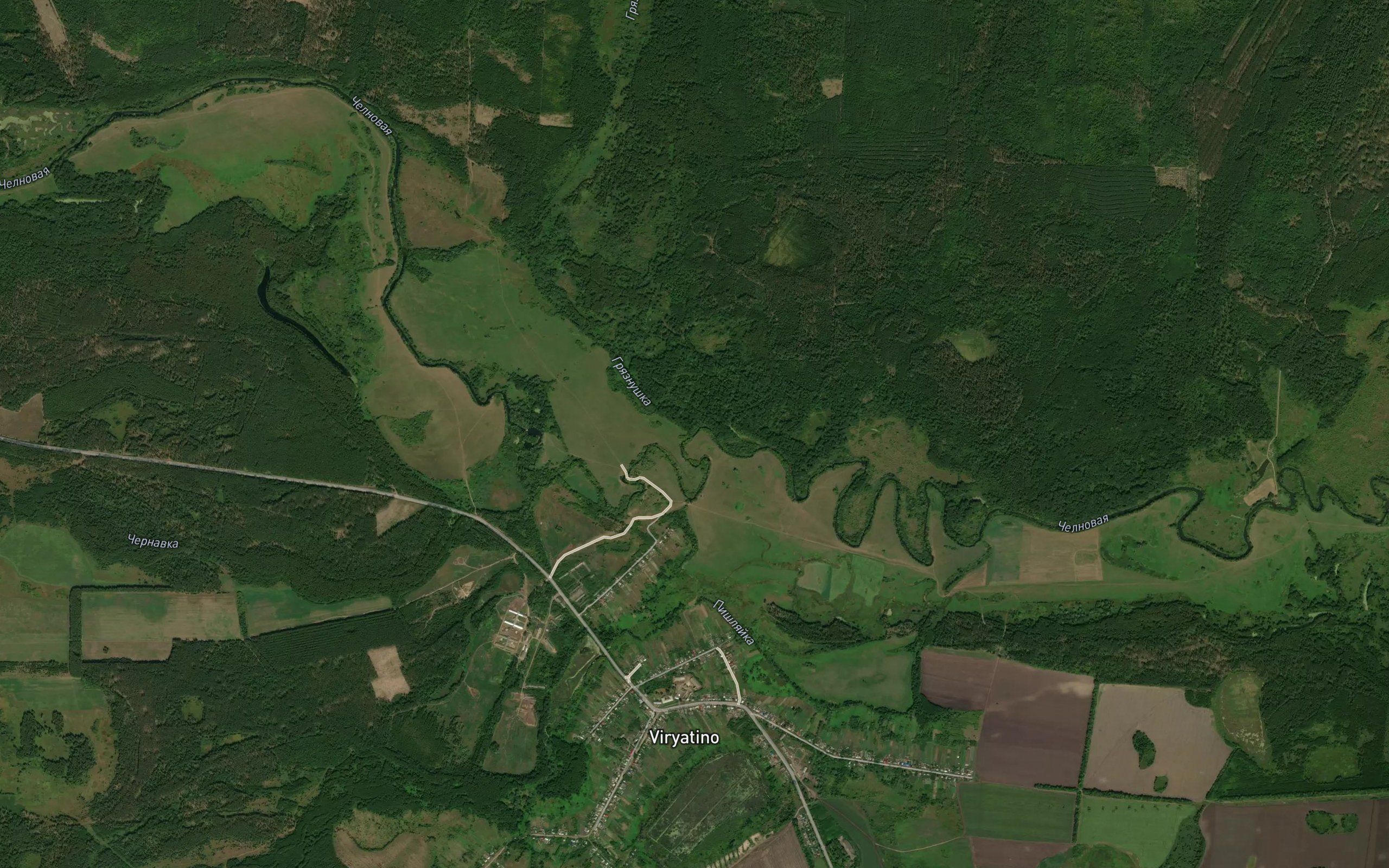 Gryaznushka