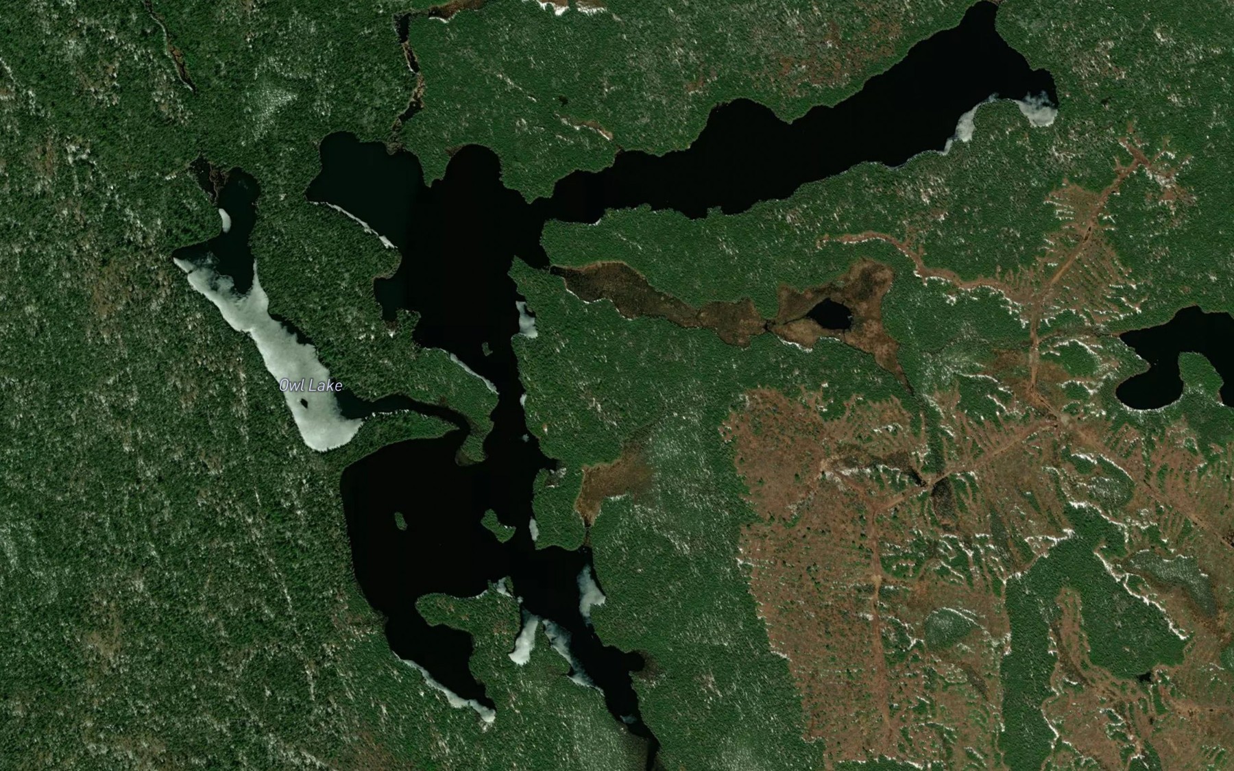 Satellite map of the Owl Lake