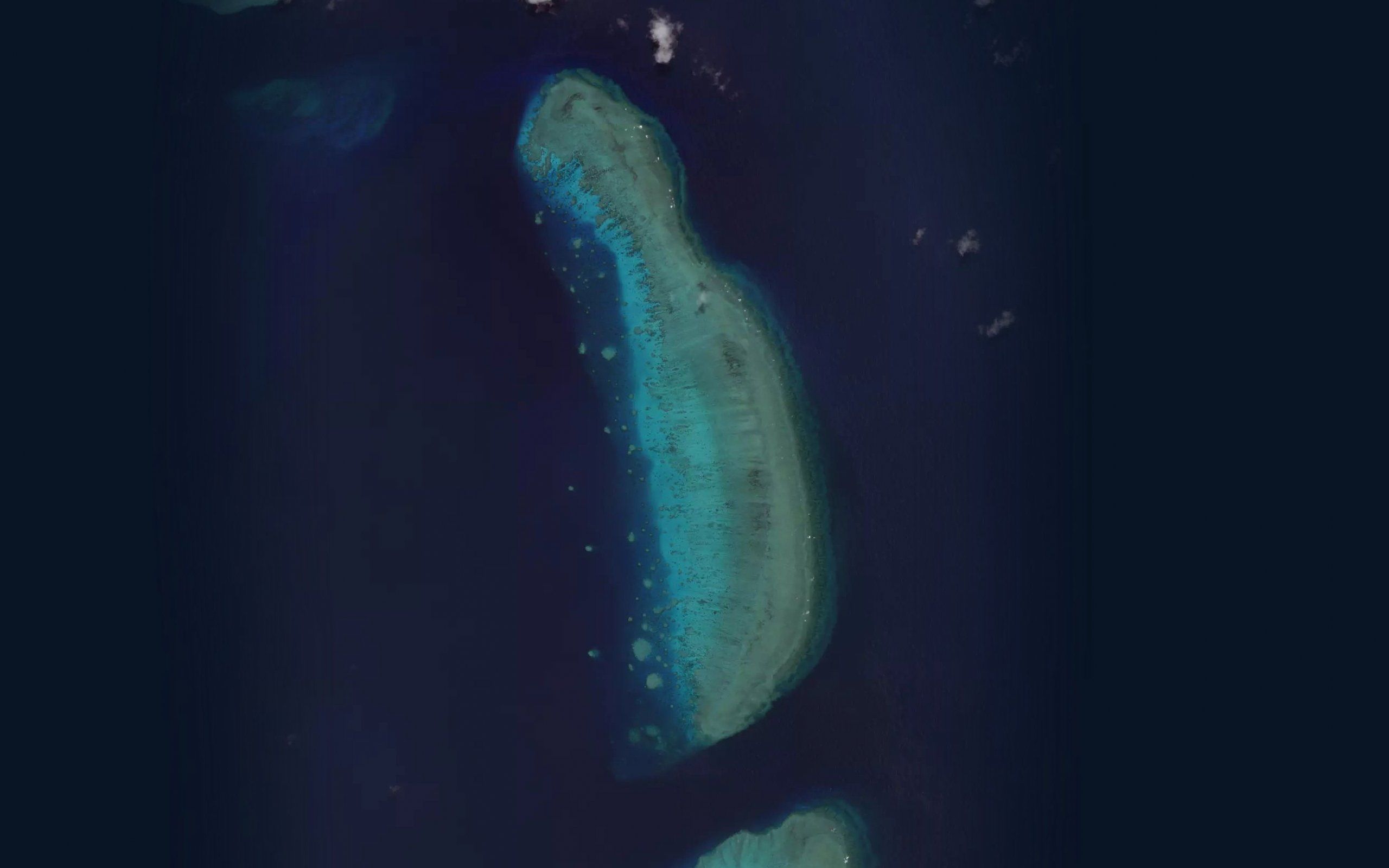 Ribbon Number Four Reef