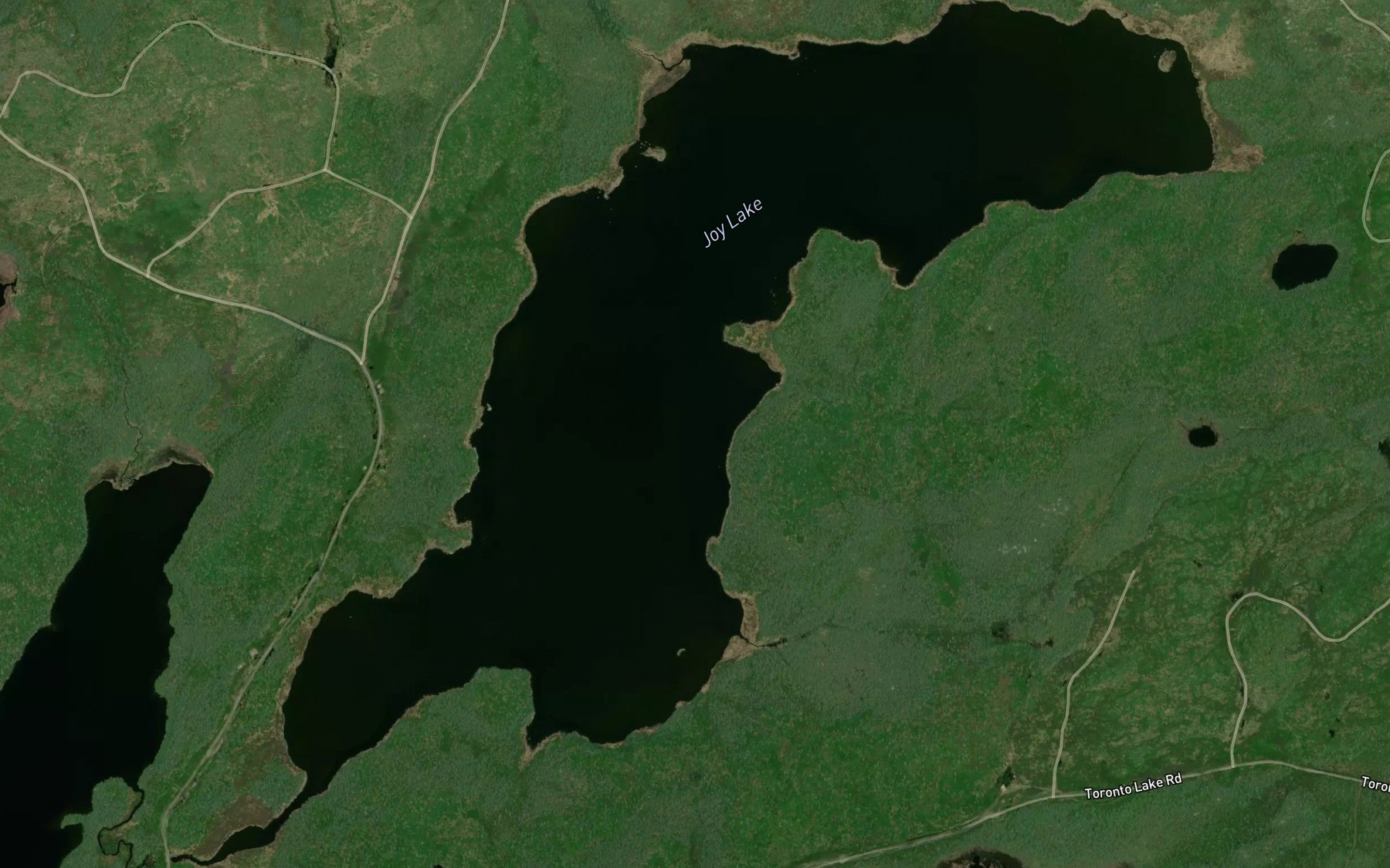 Satellite map of the Joy Lake