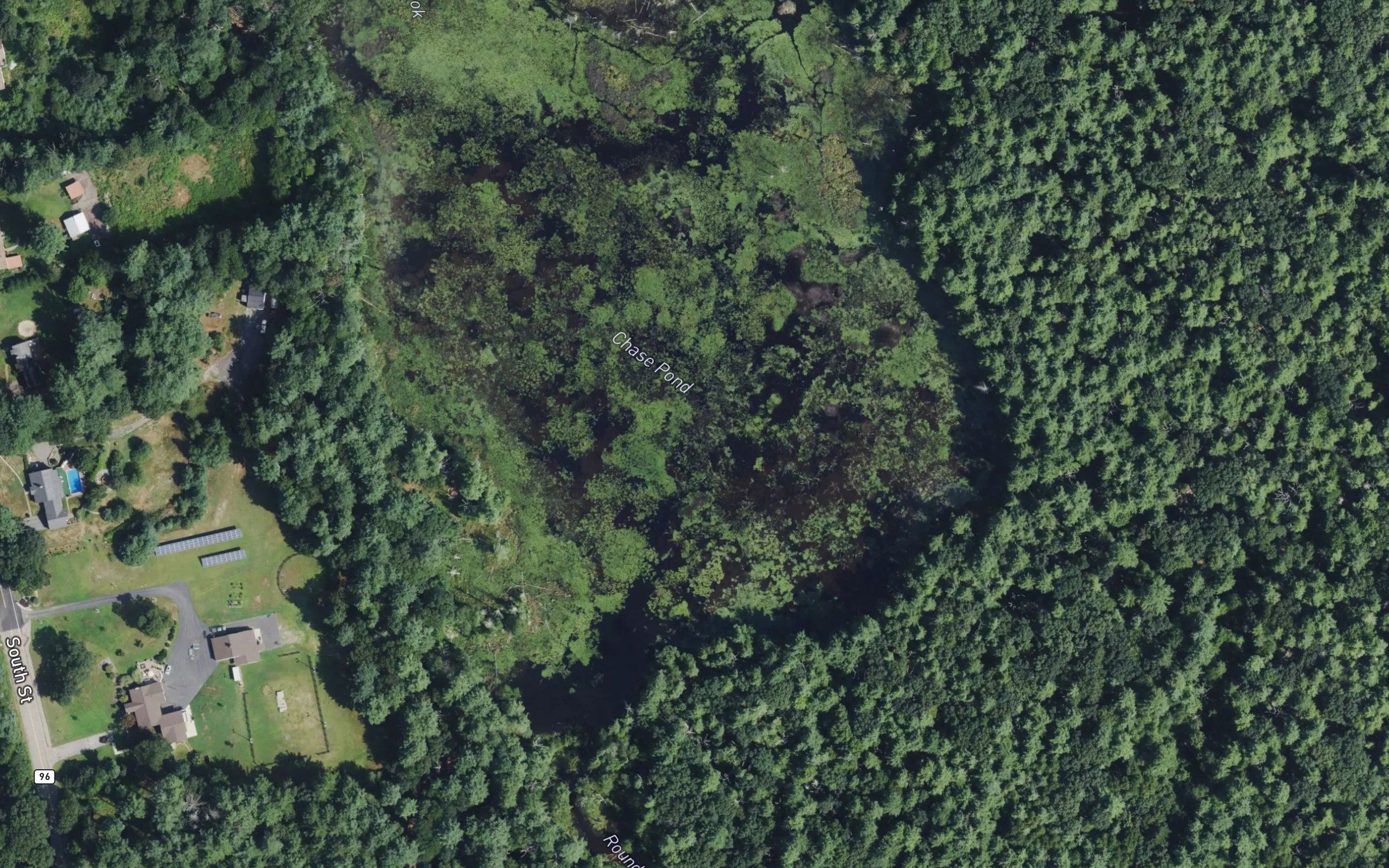 Chase Pond