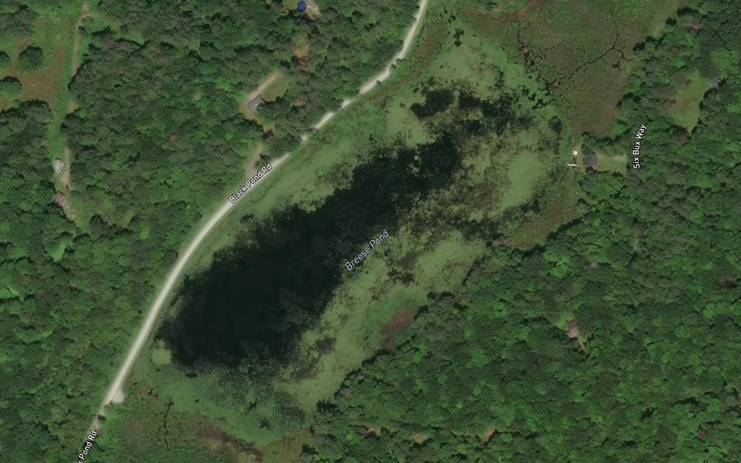 Breese Pond