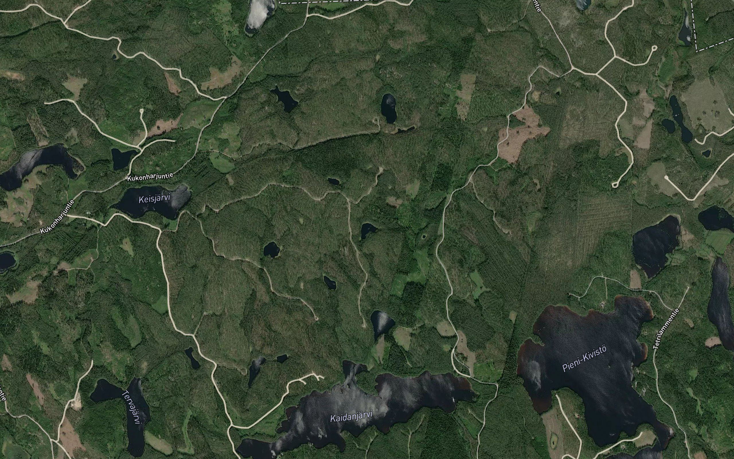 Kolmsoppinen