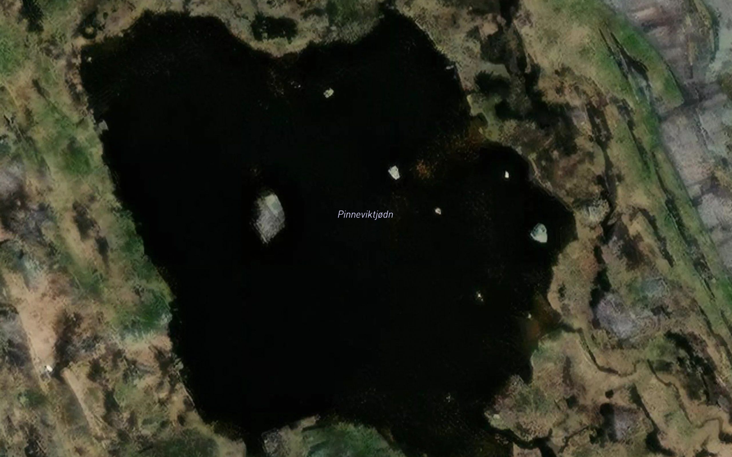 Pinneviktjodn