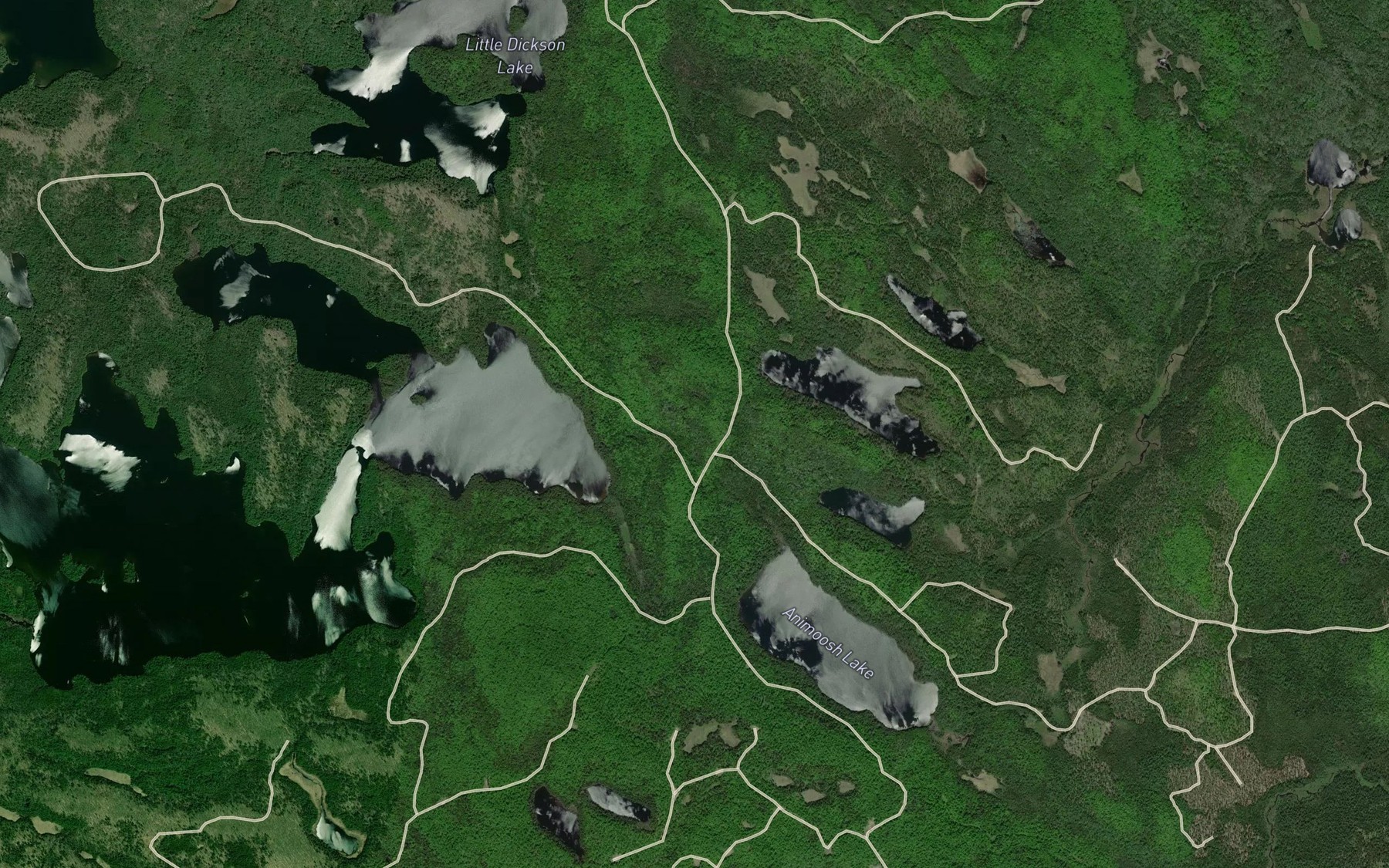 Satellite map of the Cisco Bay