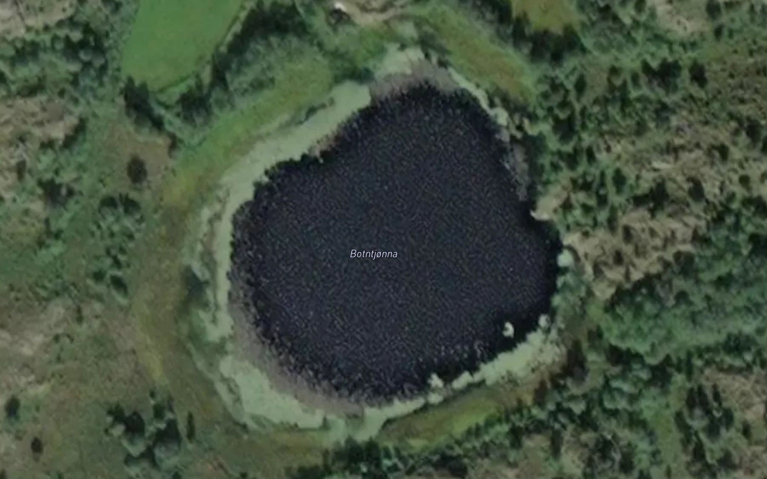 Botntjonna