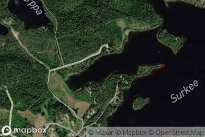 Pitkalahti