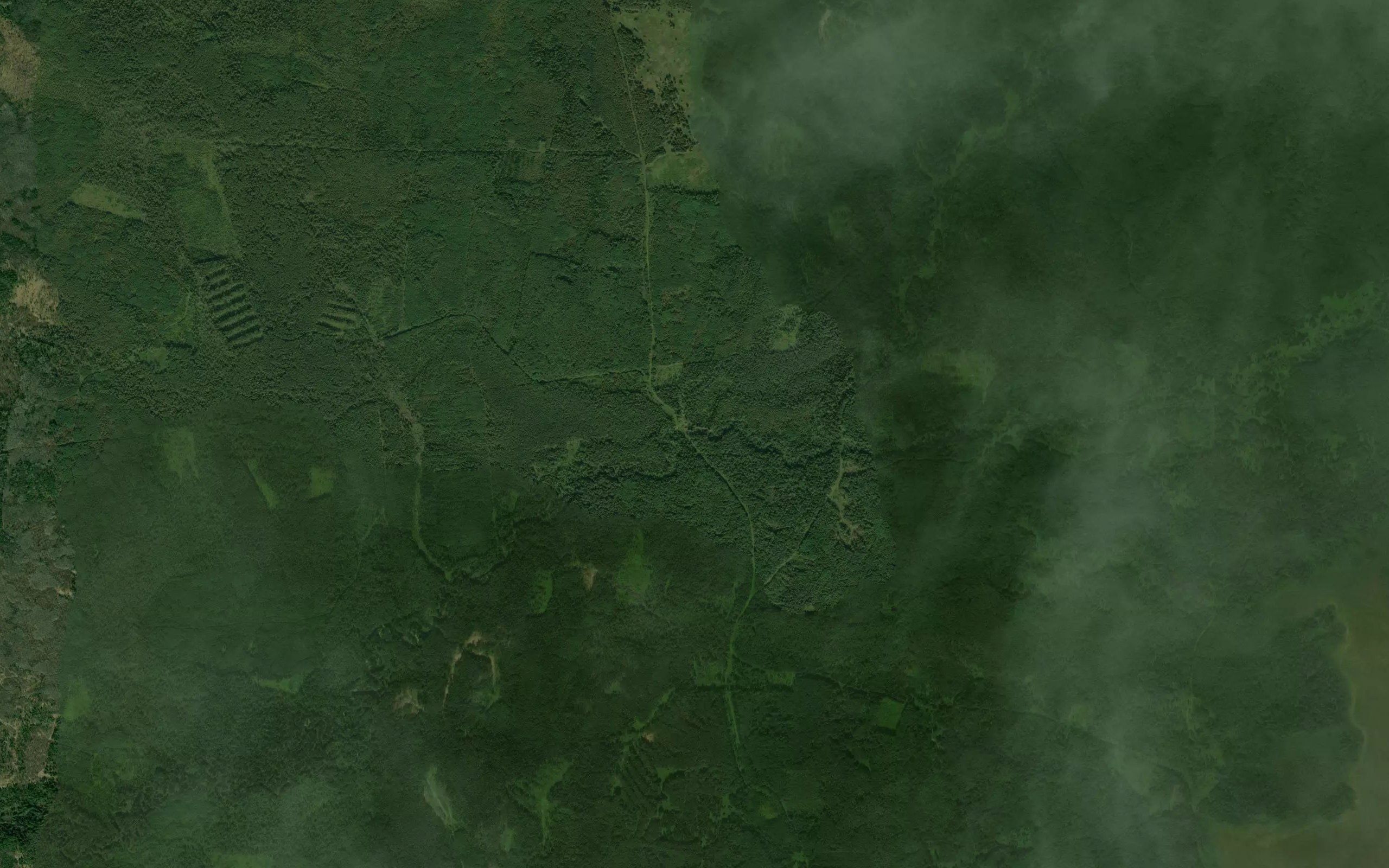 Romakhina