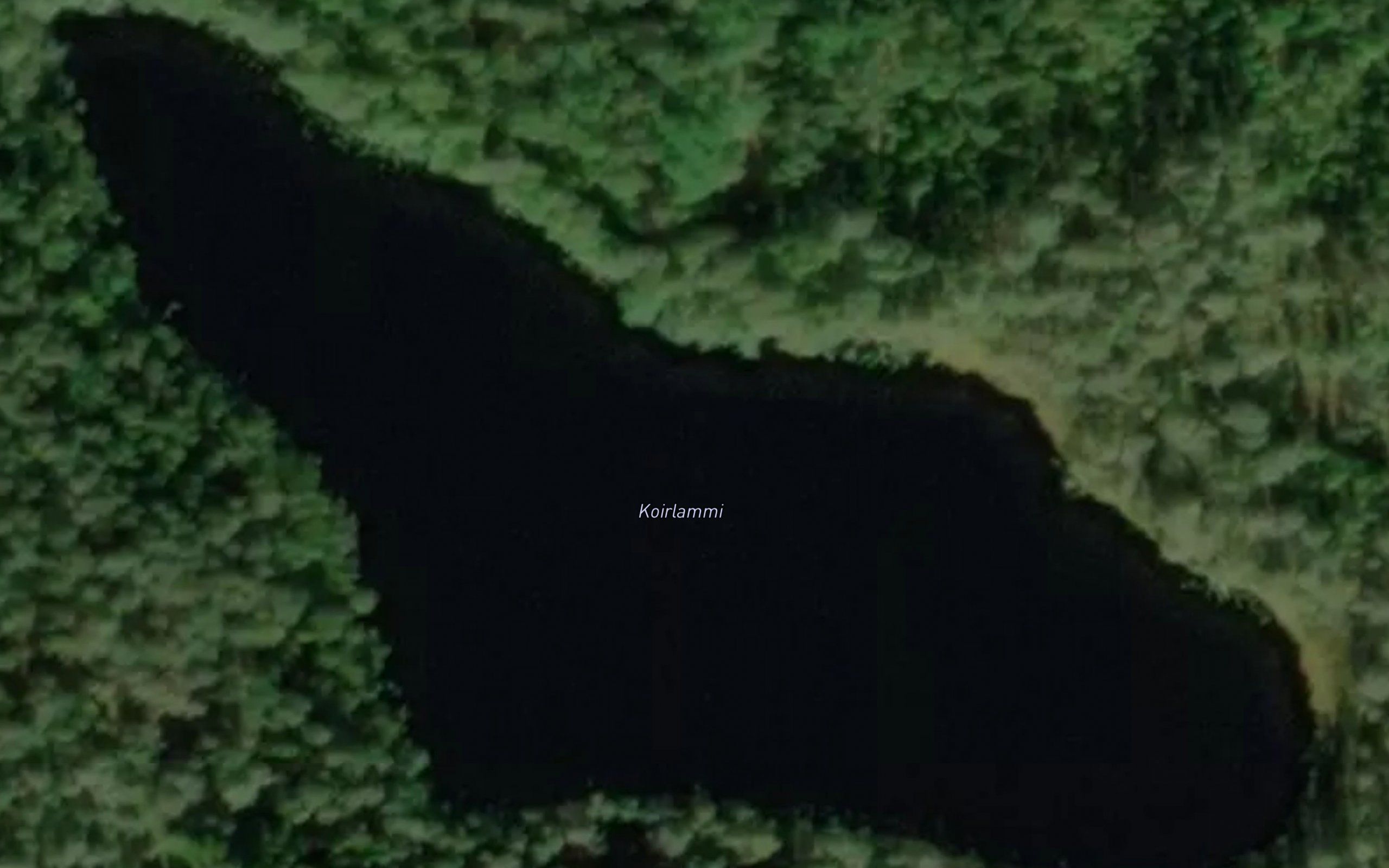 Koirlammi