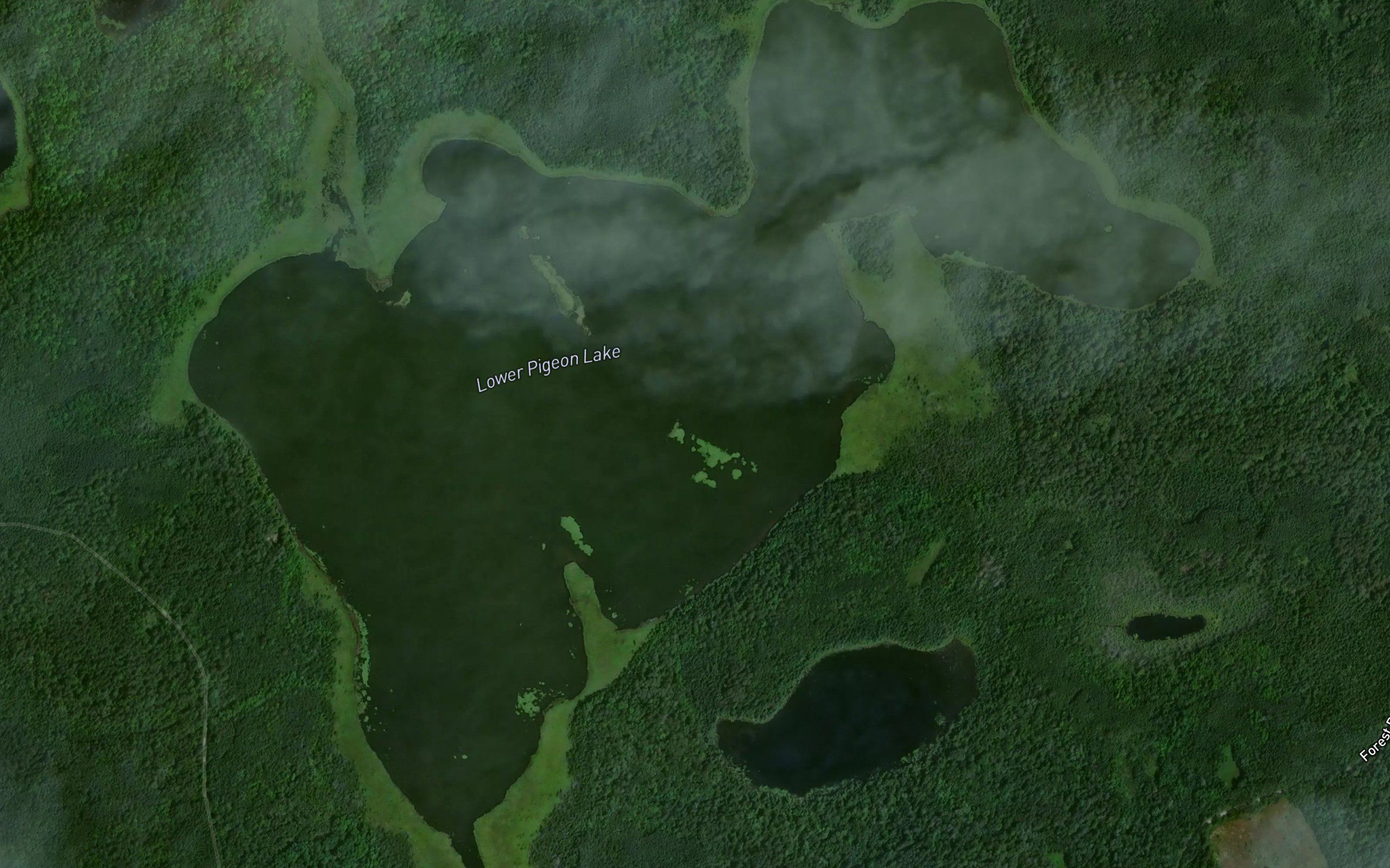 Lower Pigeon Lake