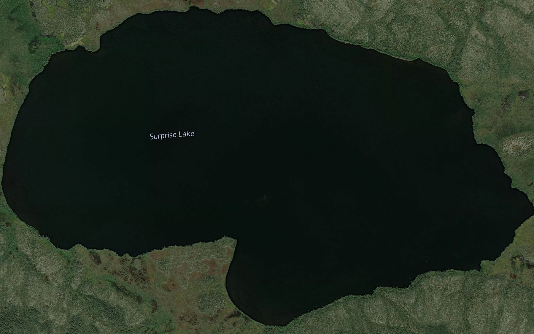 Satellite map of the Surprise Lake