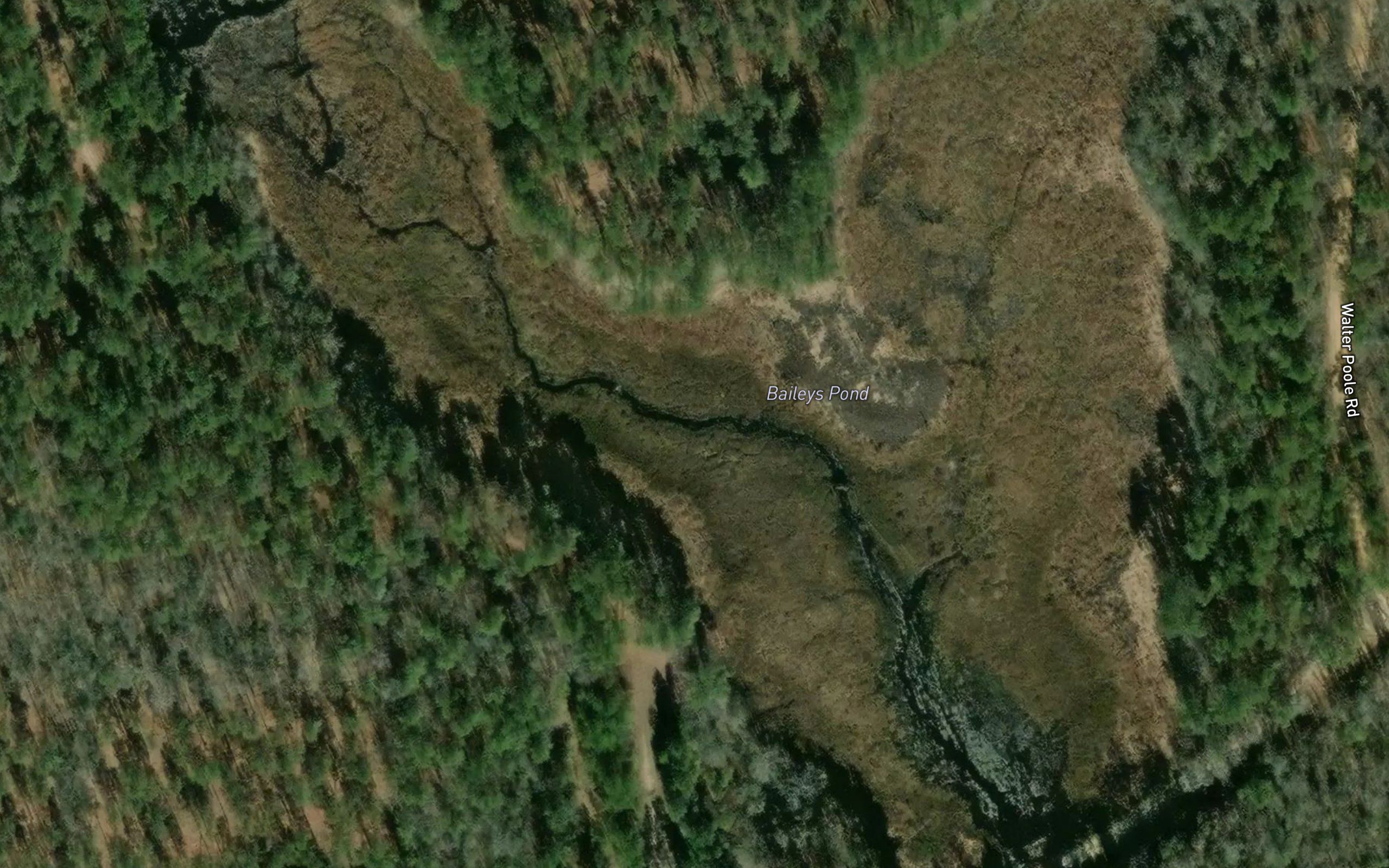 Baileys Pond