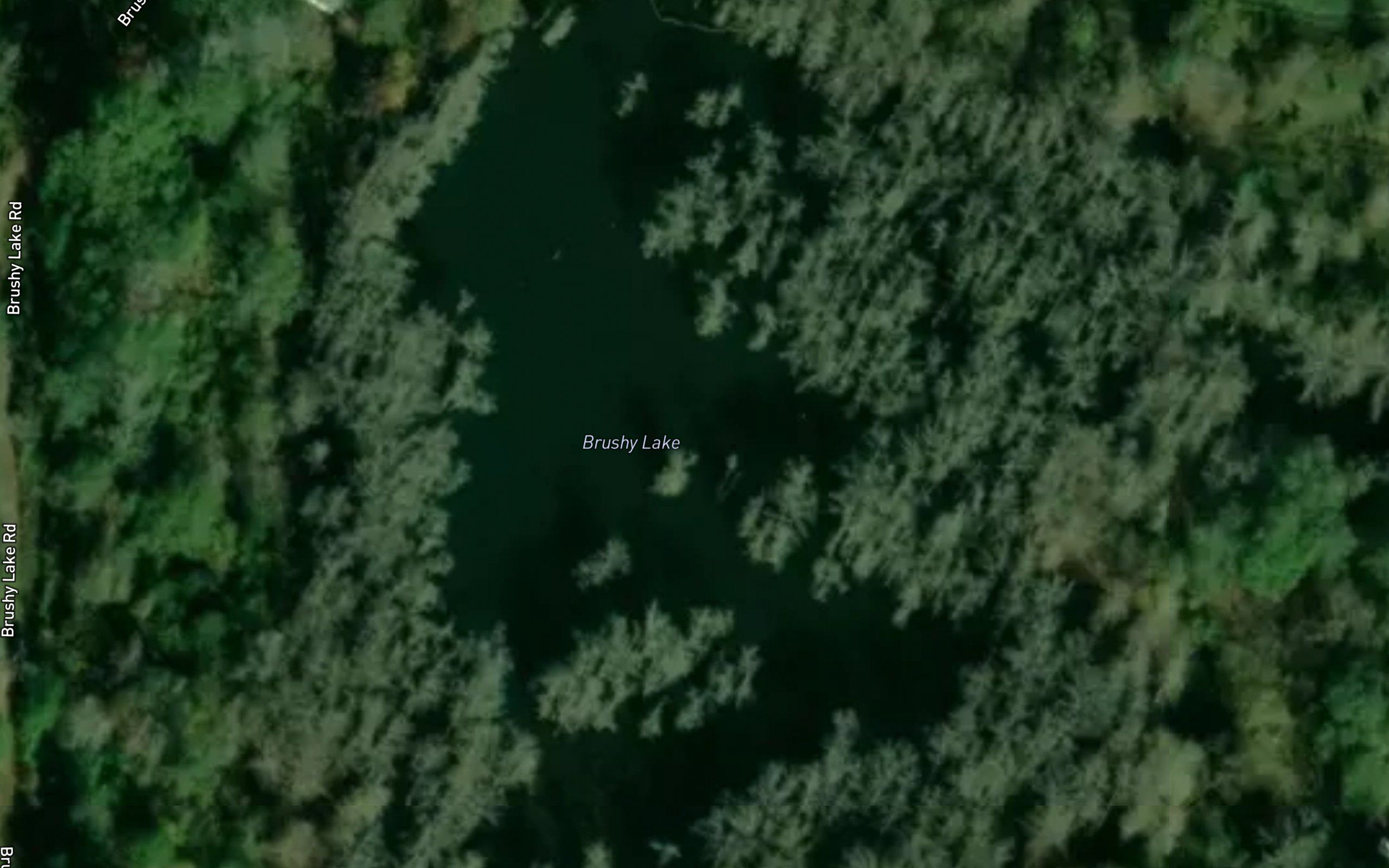 Brushy Lake