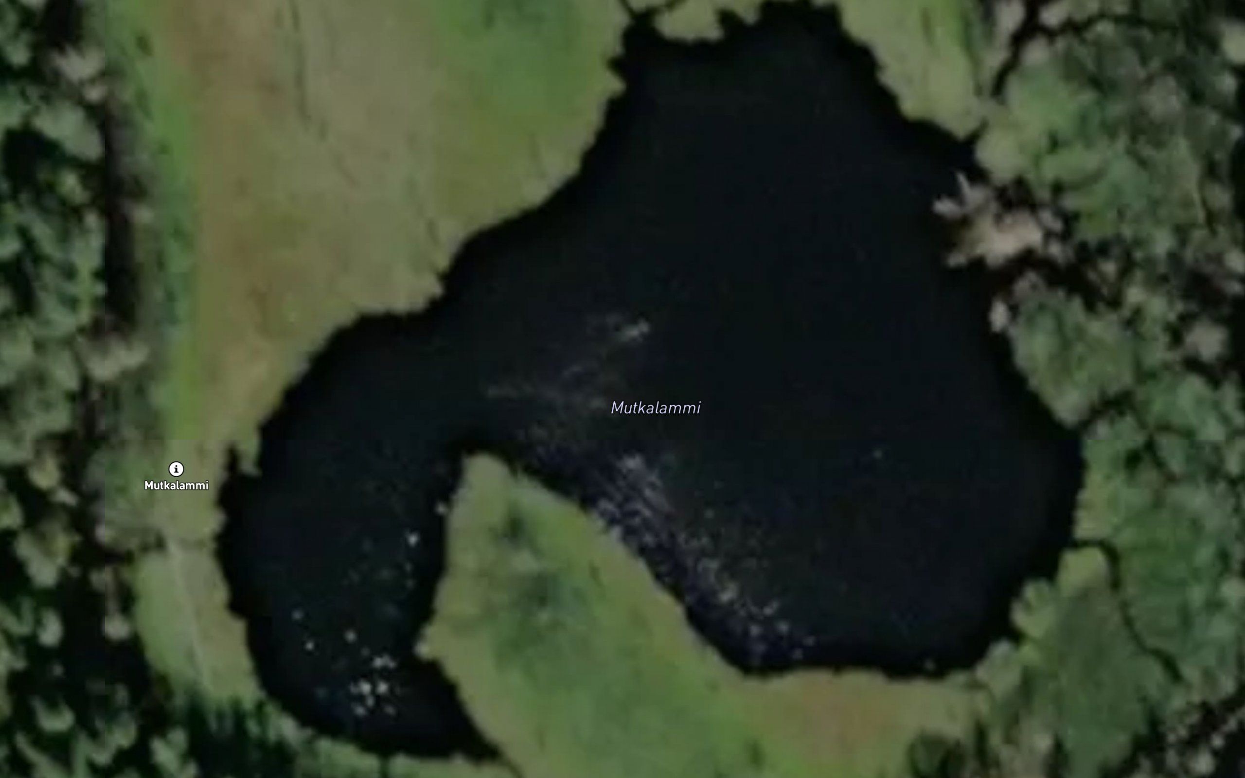 Mutkalammi