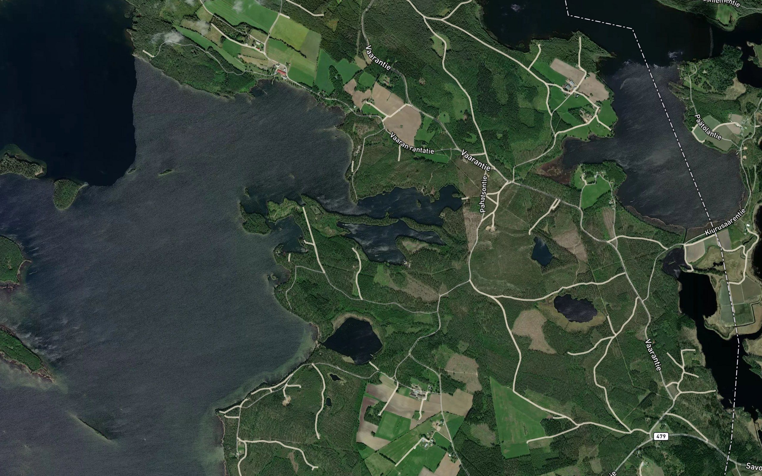 Kurikkalampi