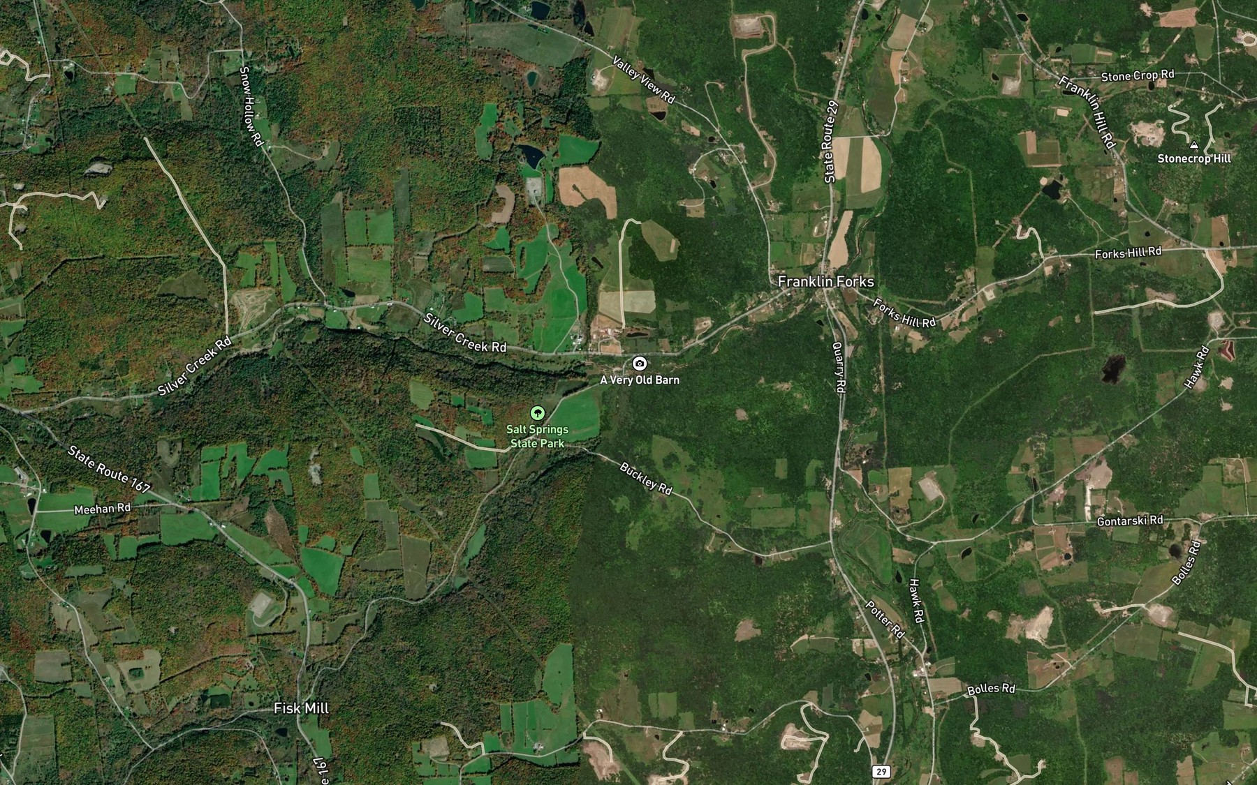 Satellite map of the Salt Springs