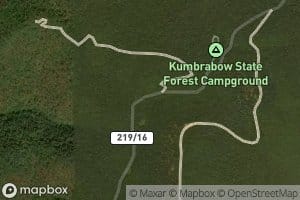 Kumbrabow Forest Spring