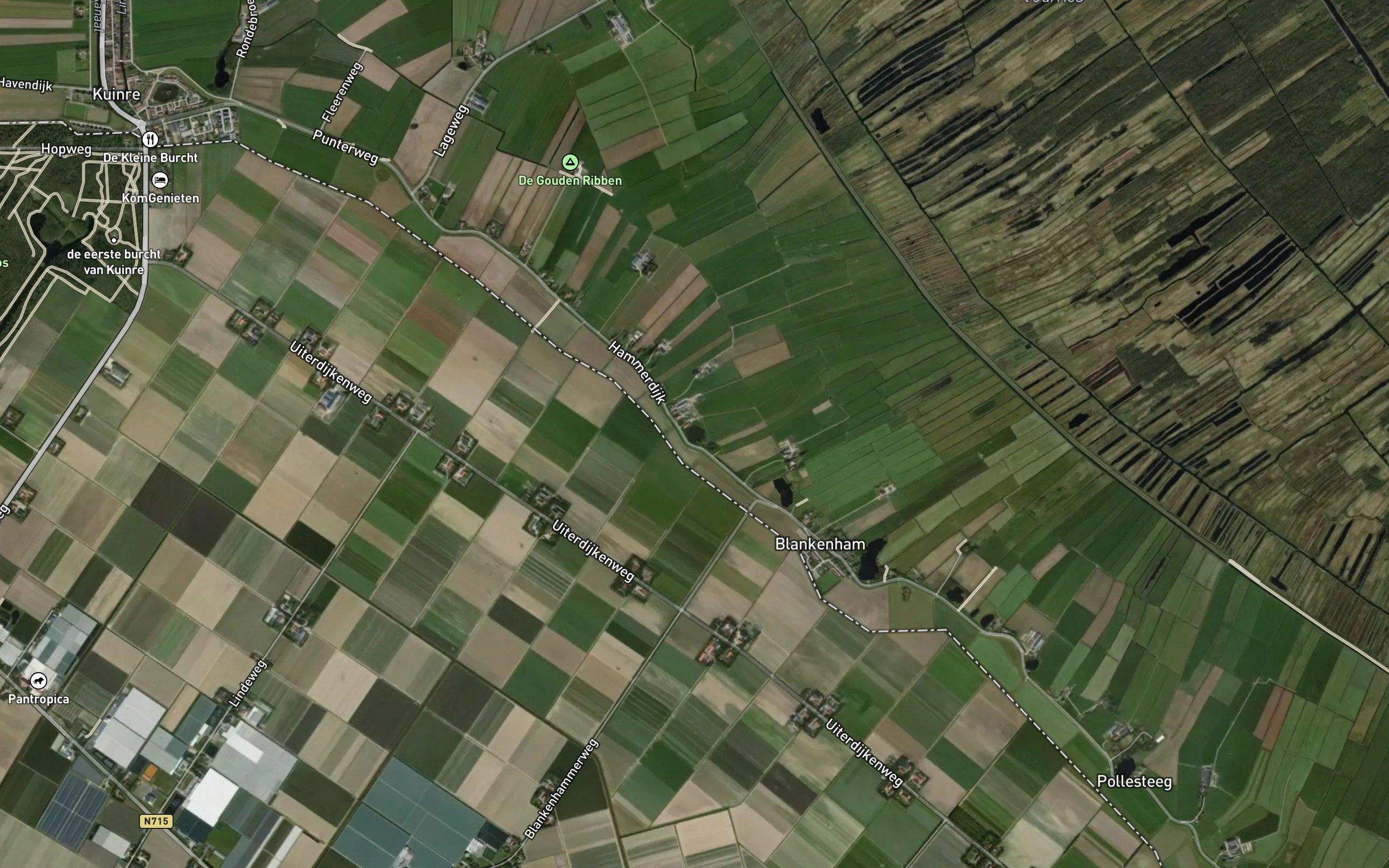 Schimmelskolk