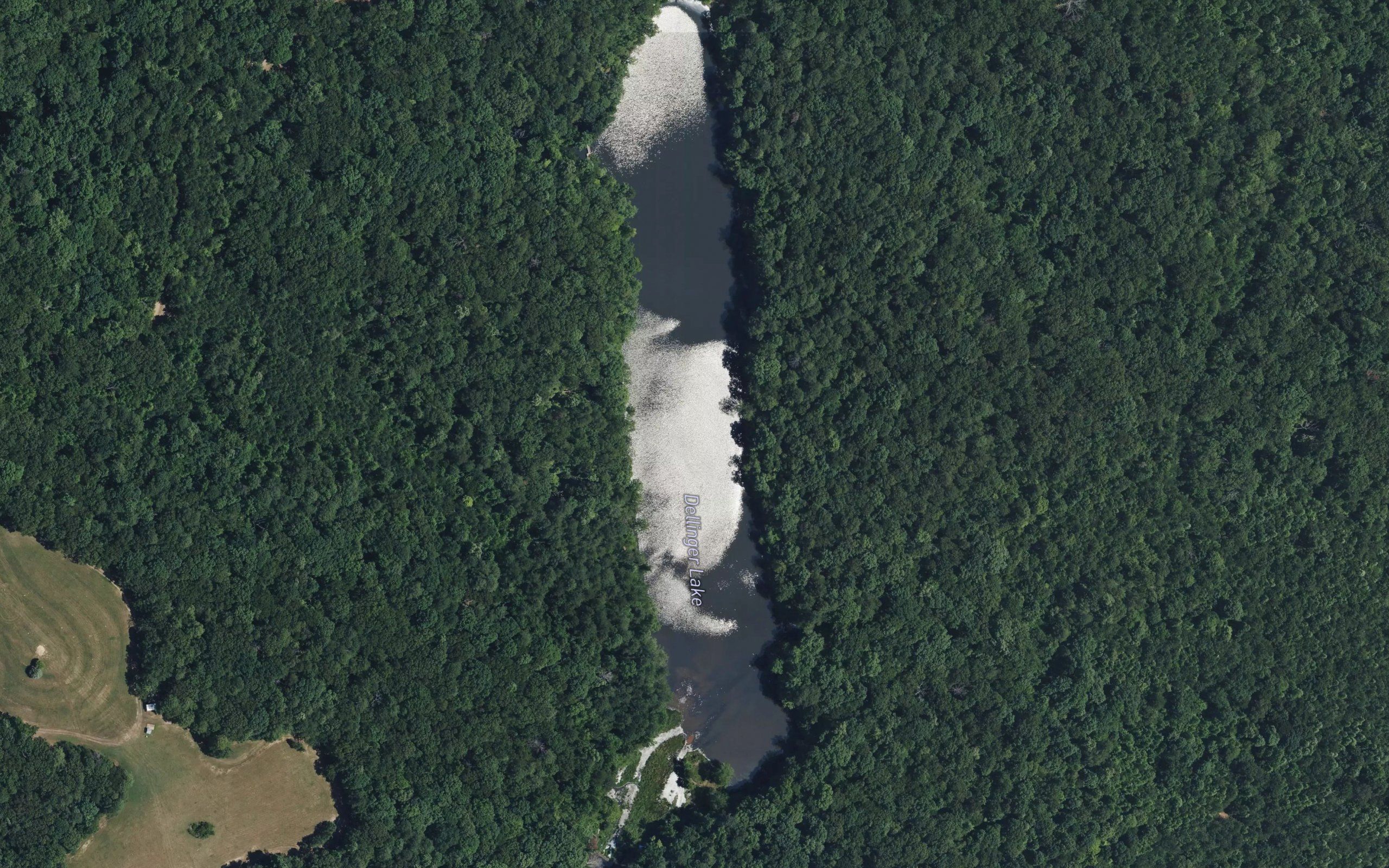 Dellinger Lake