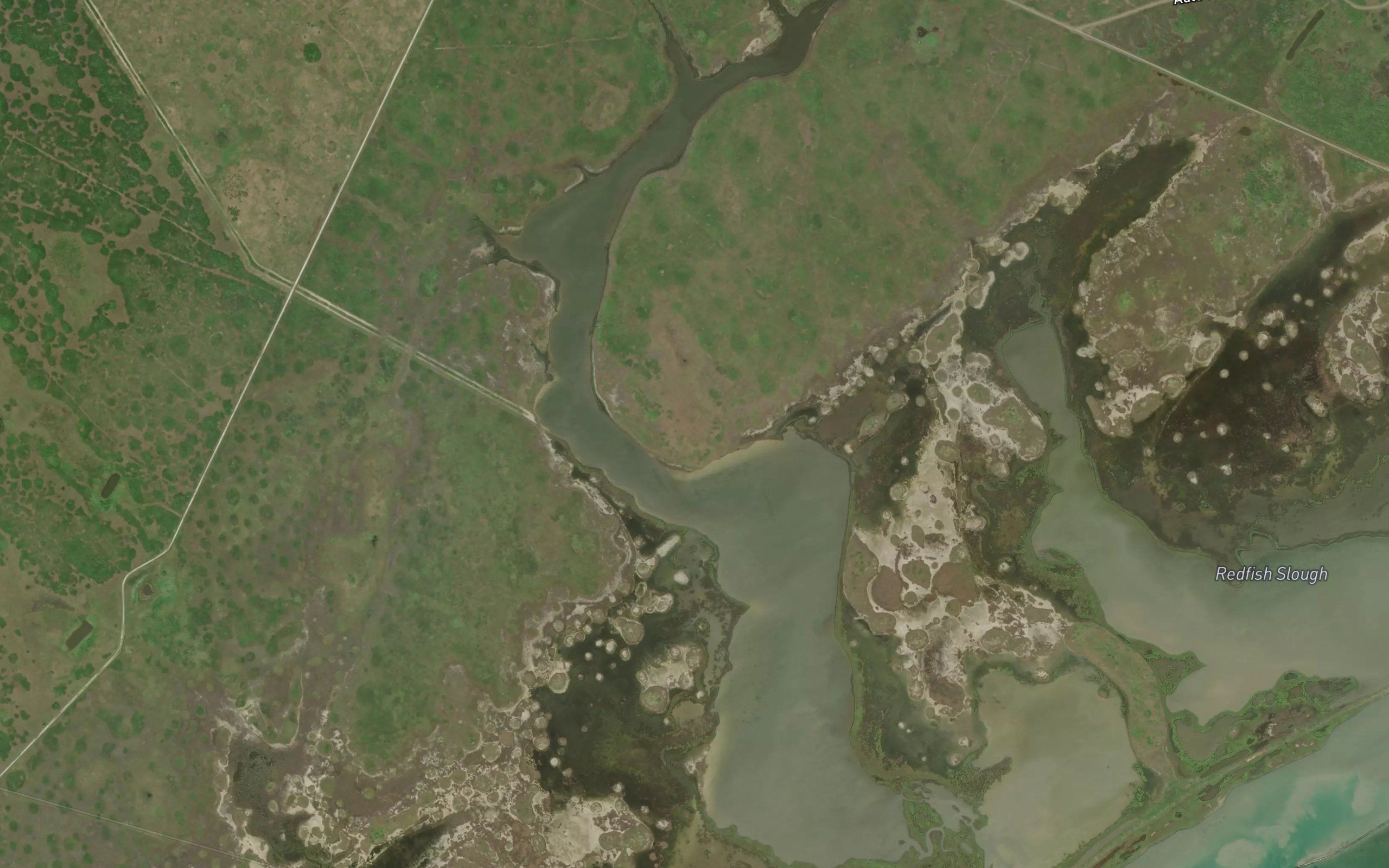Mustang Slough