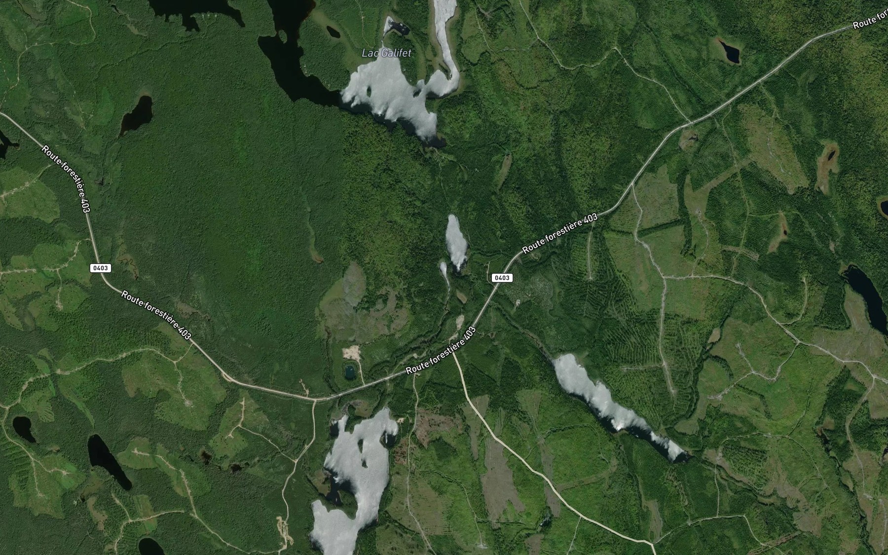 Satellite map of the Lac du Plantain