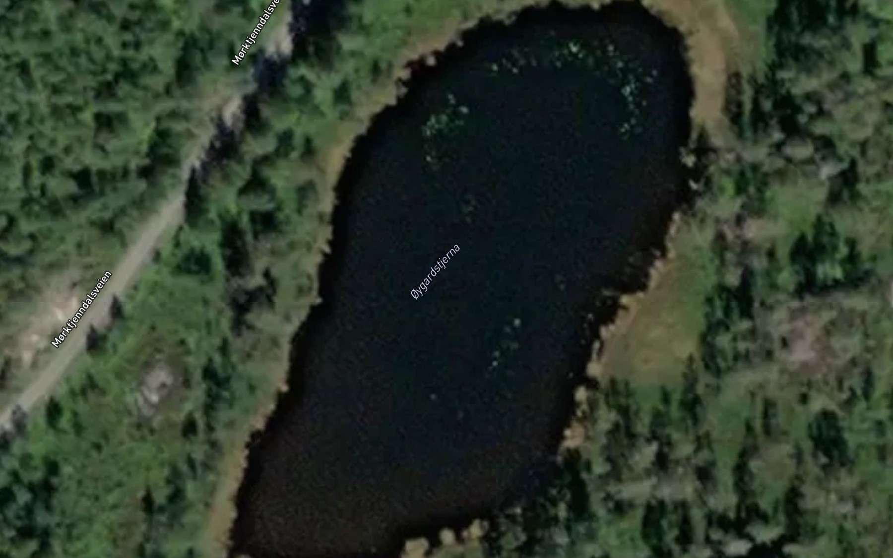 Satellite map of the Oygardsrodtjenn