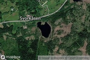 Svorkastjorna
