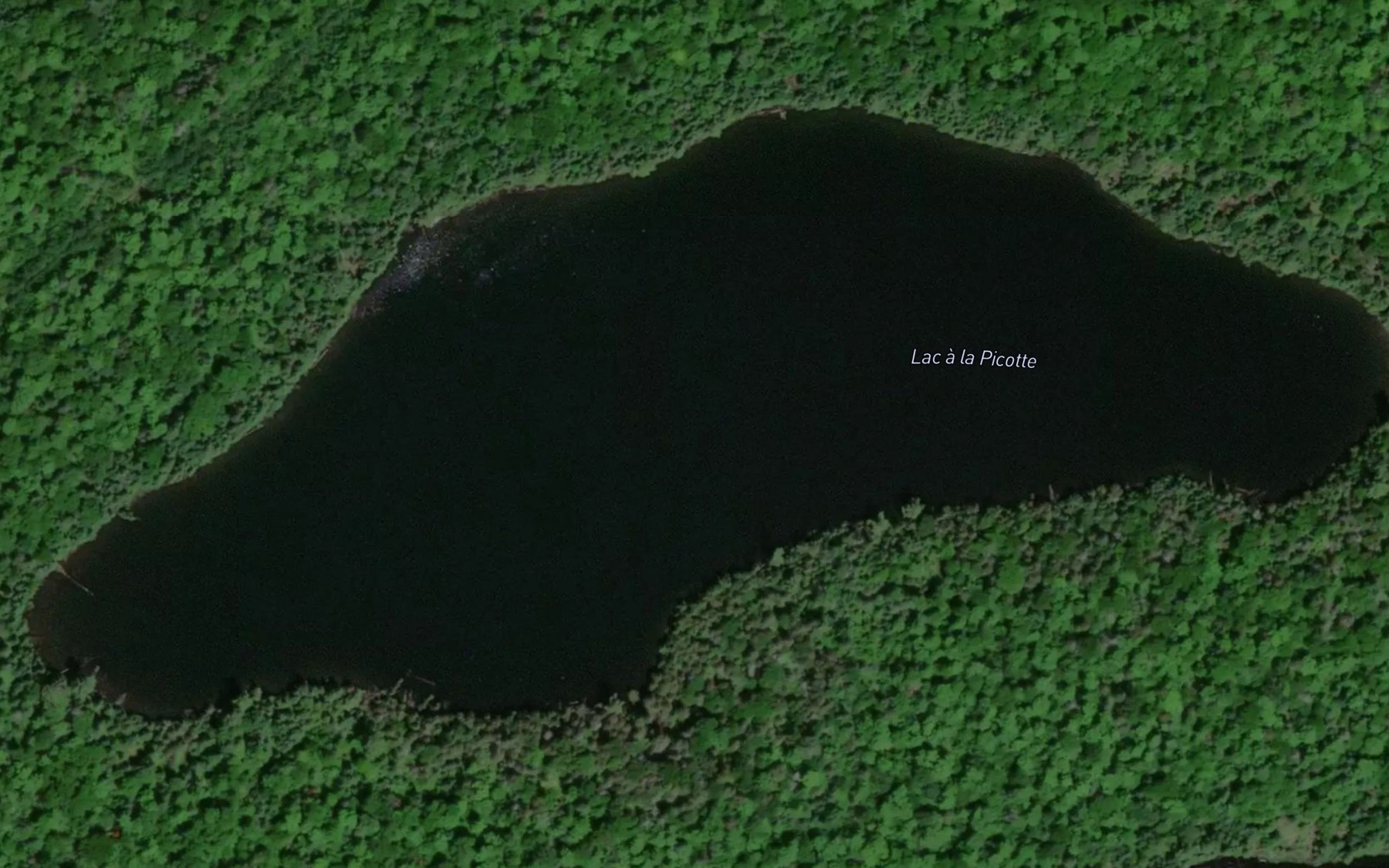 Satellite map of the Lac a la Picotte