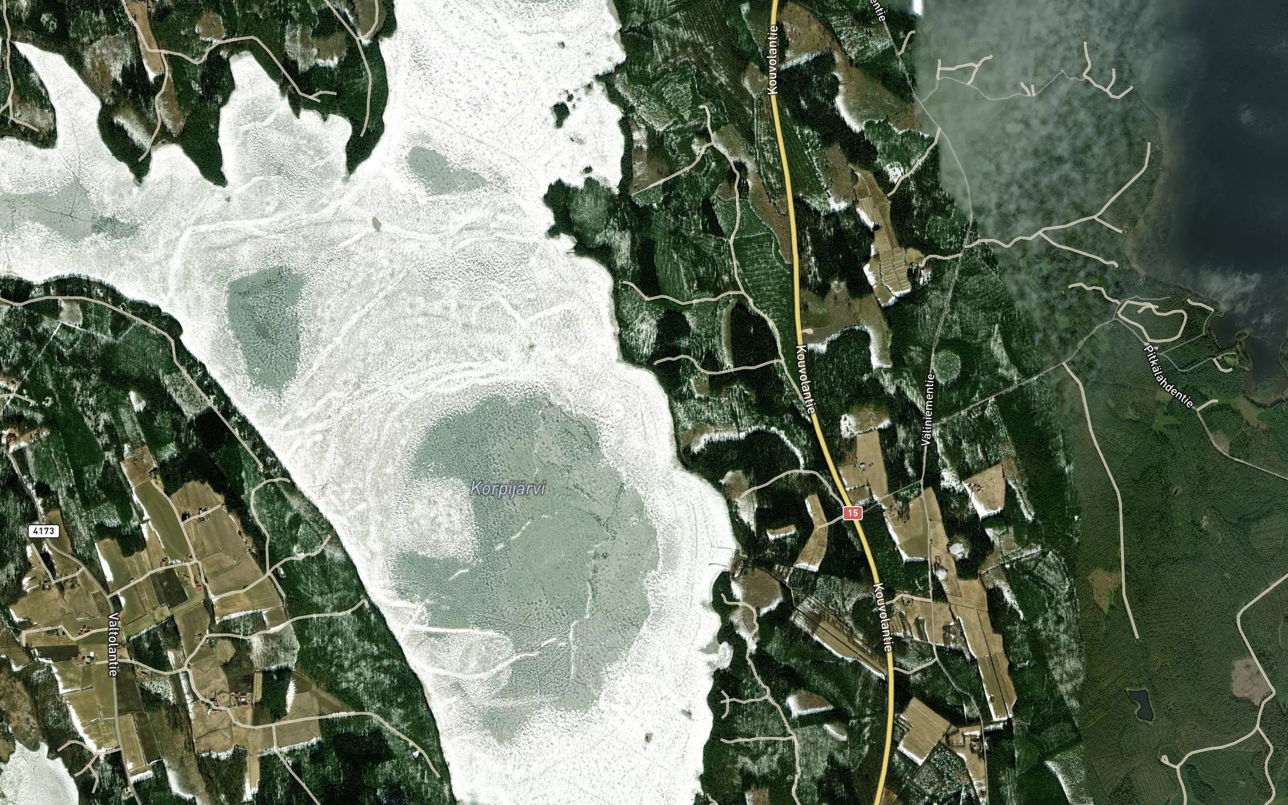 Viitavalkama