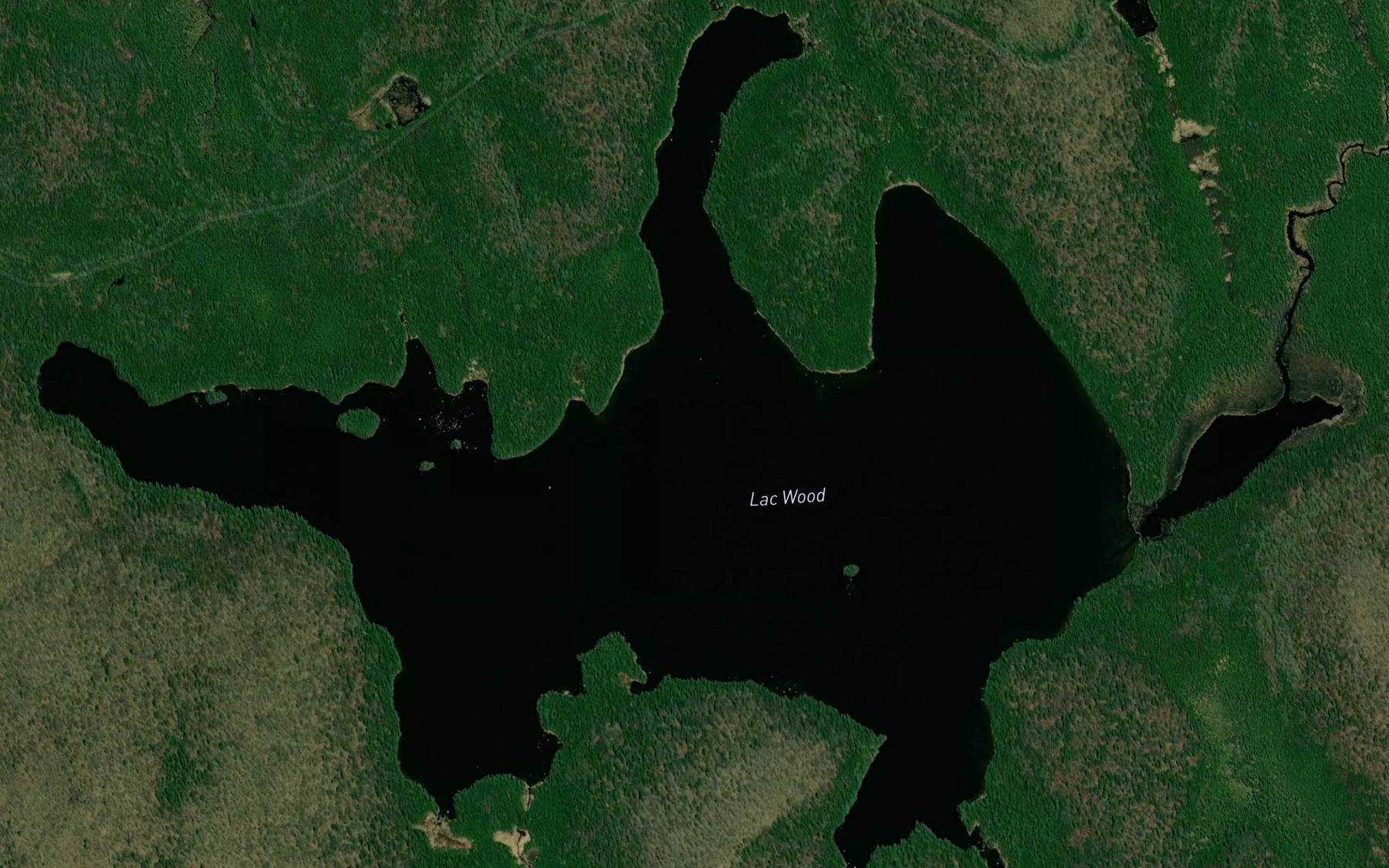 Satellite map of the Lac Wood