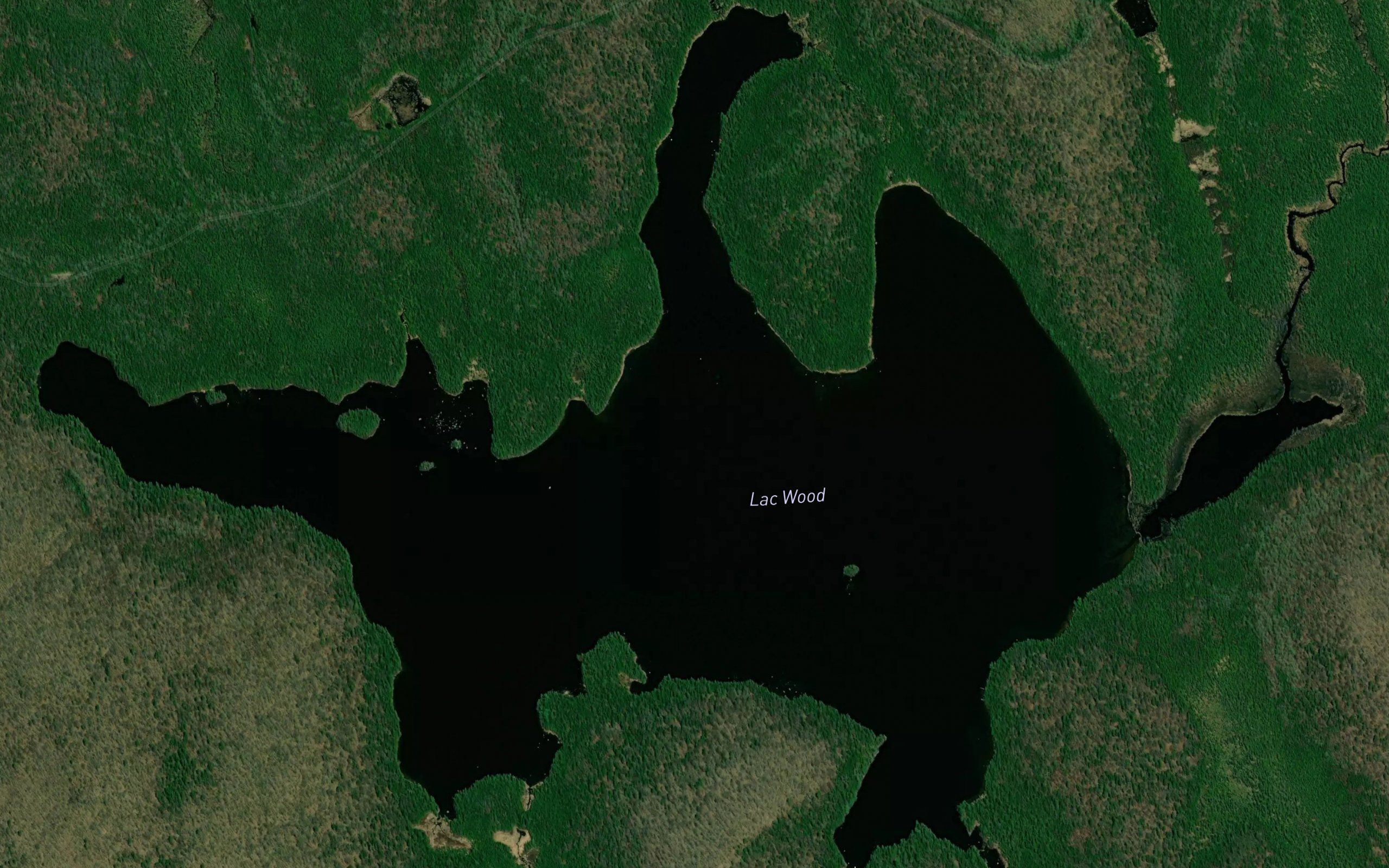 Lac Wood