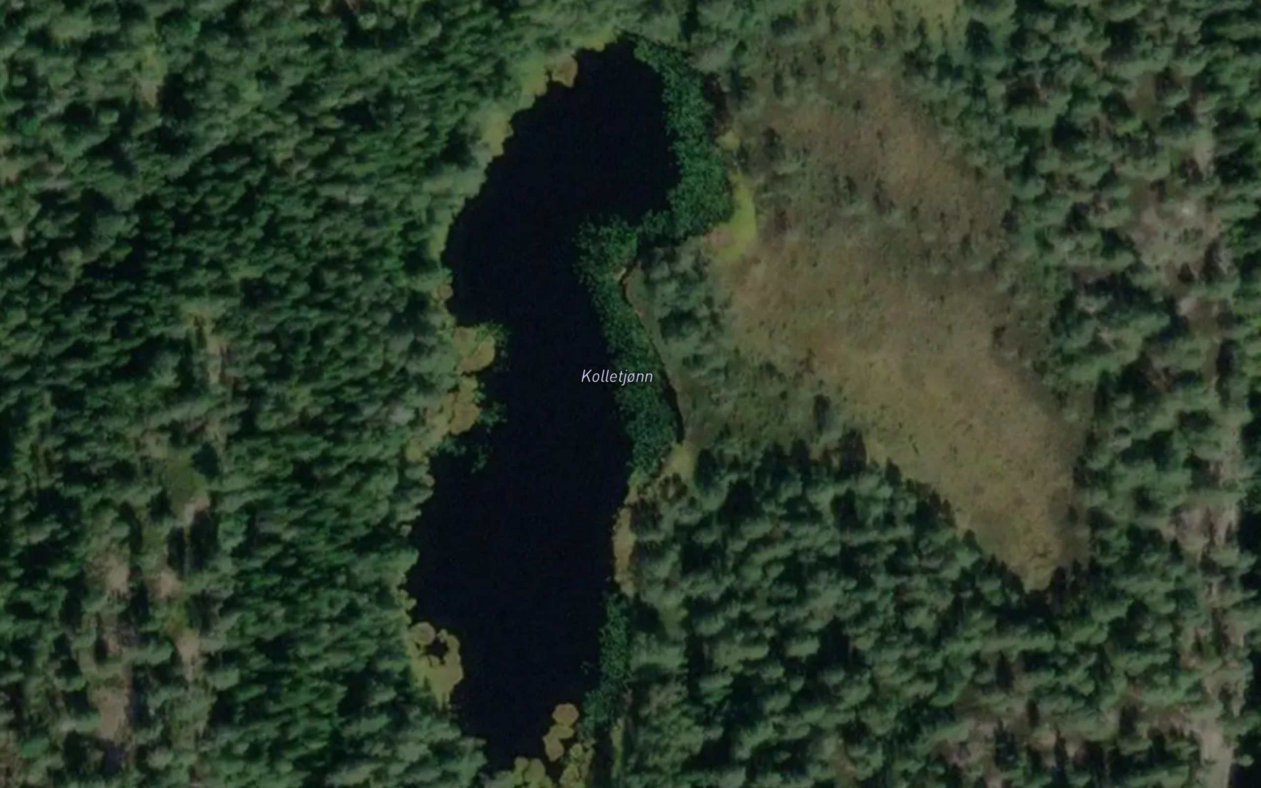 Kolletjorn