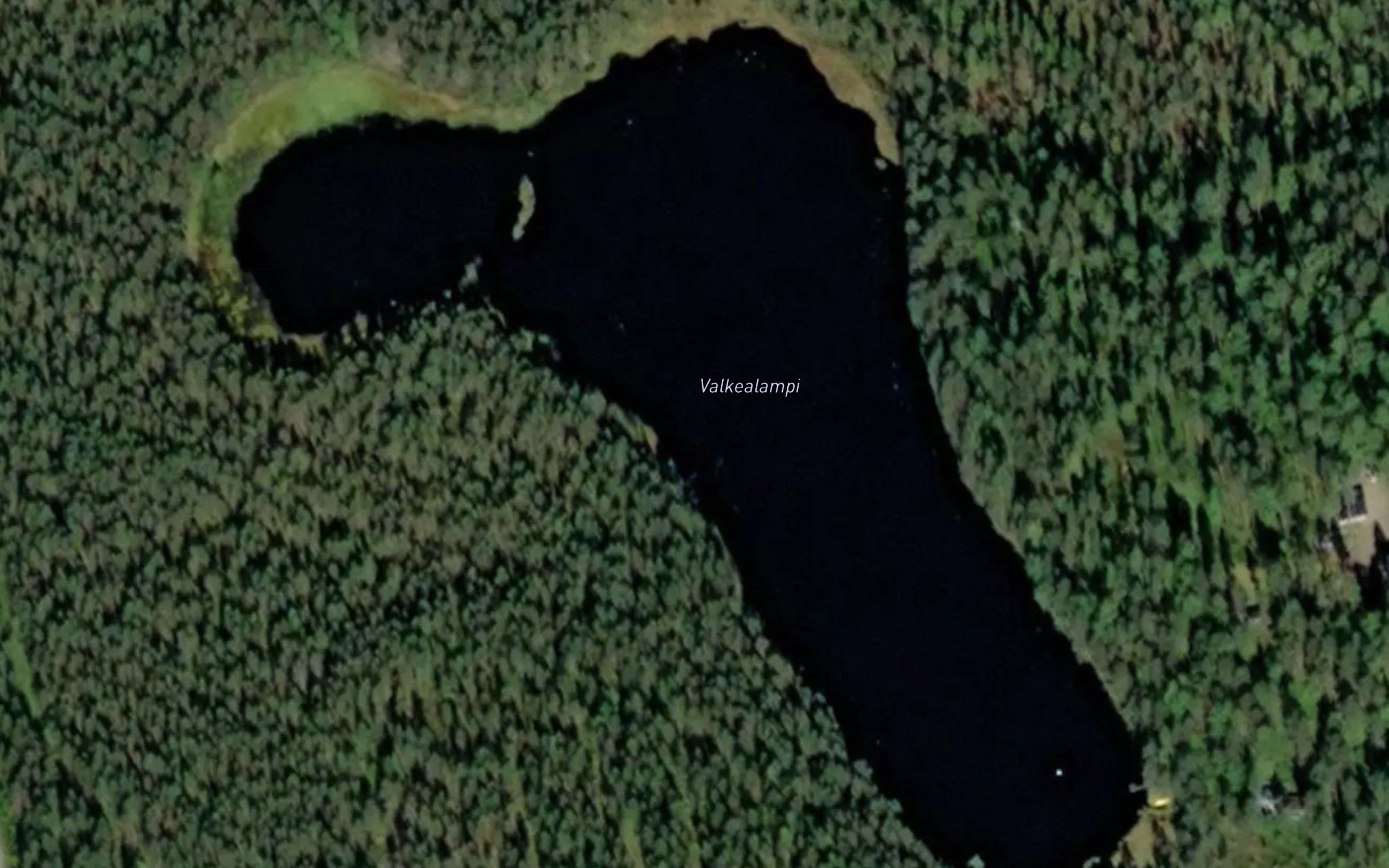 Valkealampi