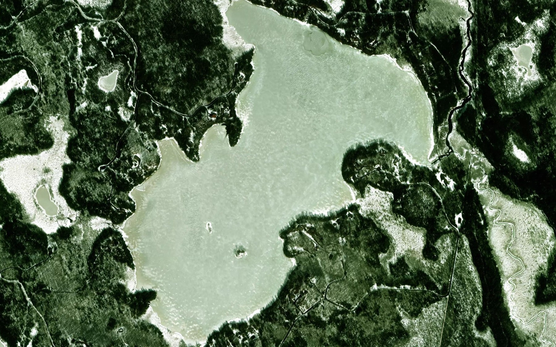 Satellite map of the Twin Island Lake