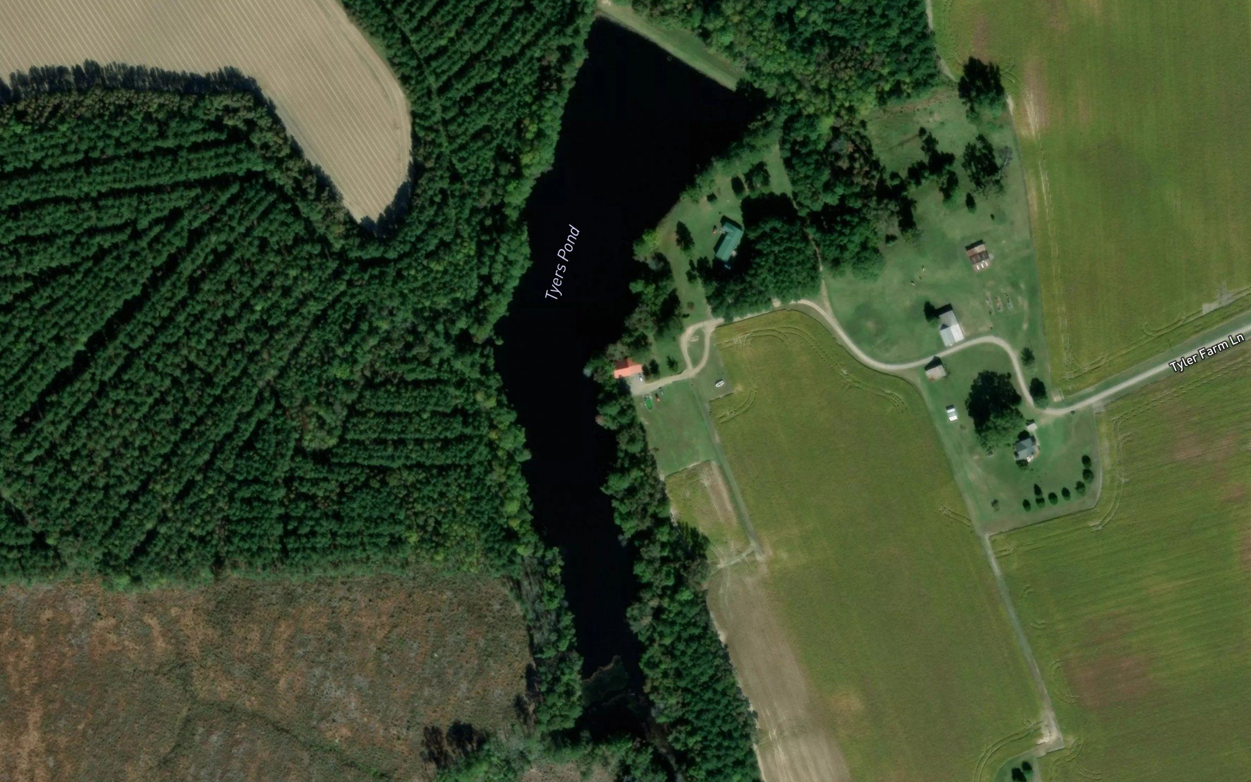 Tyers Pond