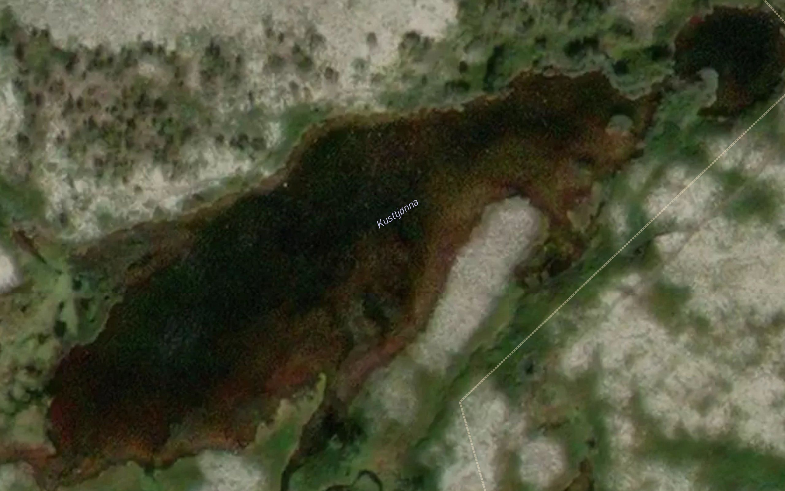 Kusttjernet